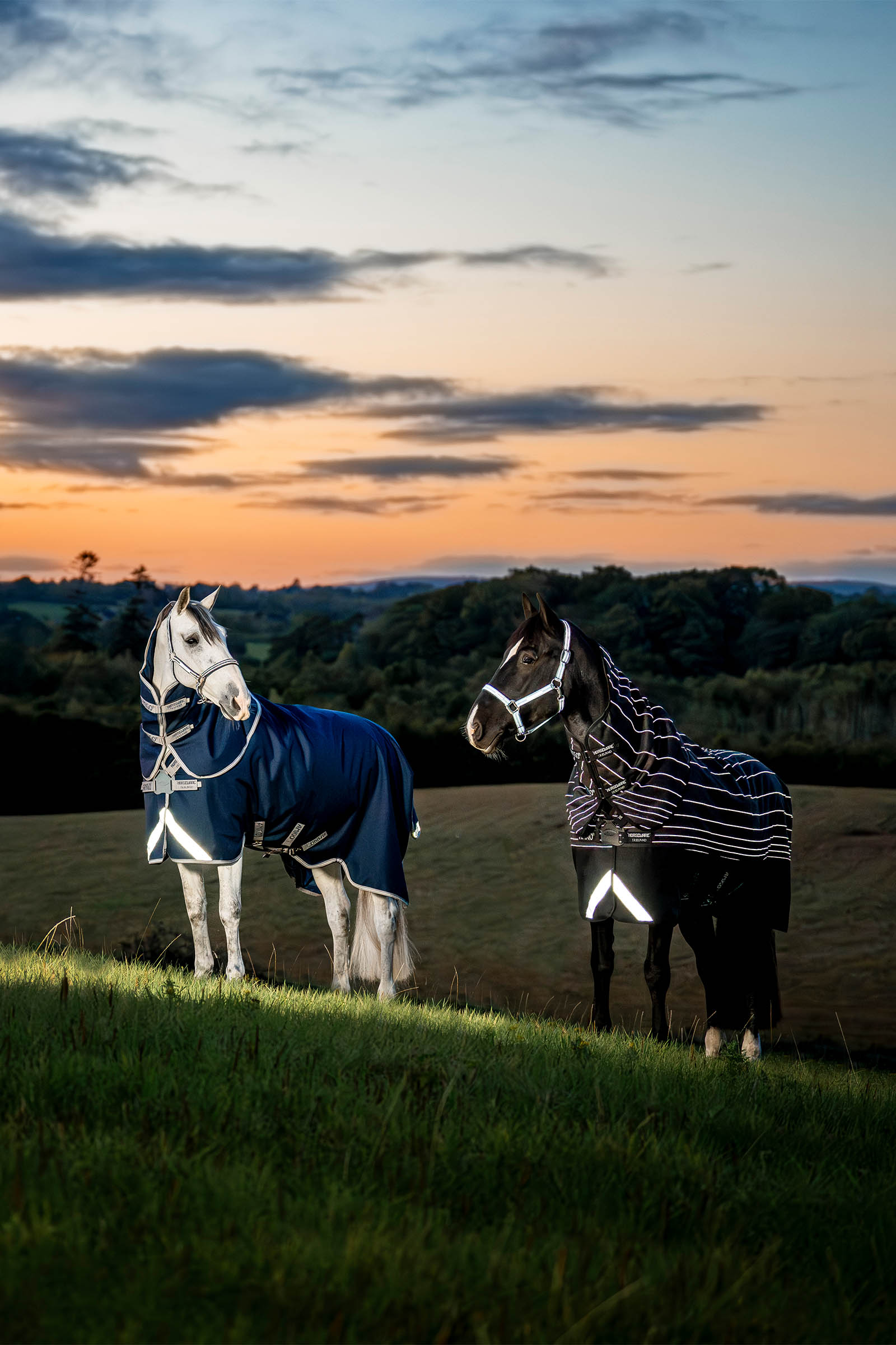 Horseware Amigo 1200D FieldSafe Plus manta de exterior, 0 g