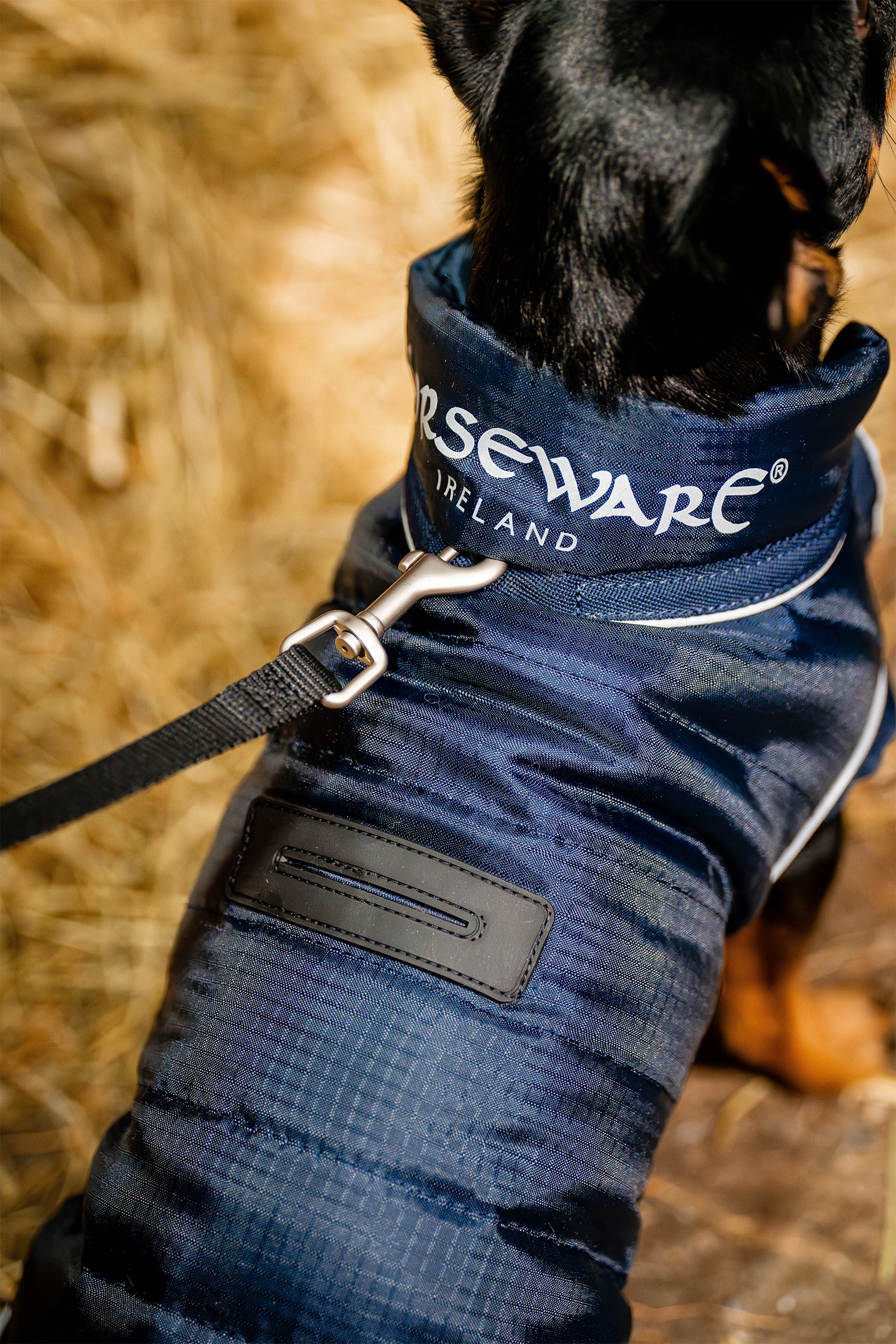 Abrigo para Perros Horseware Signature
