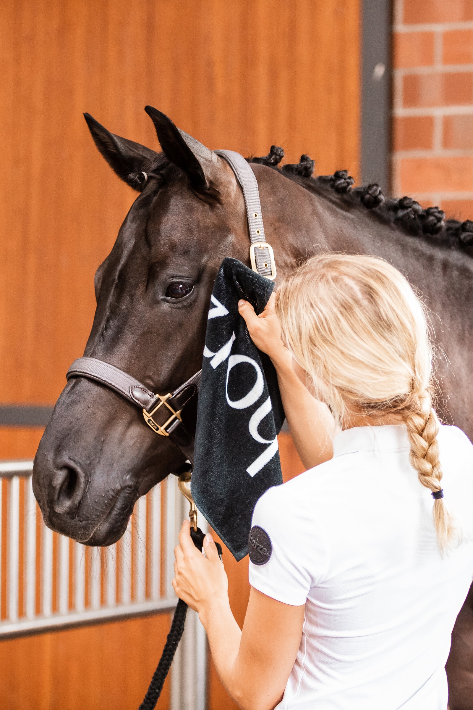 Toalla de Mano Horze