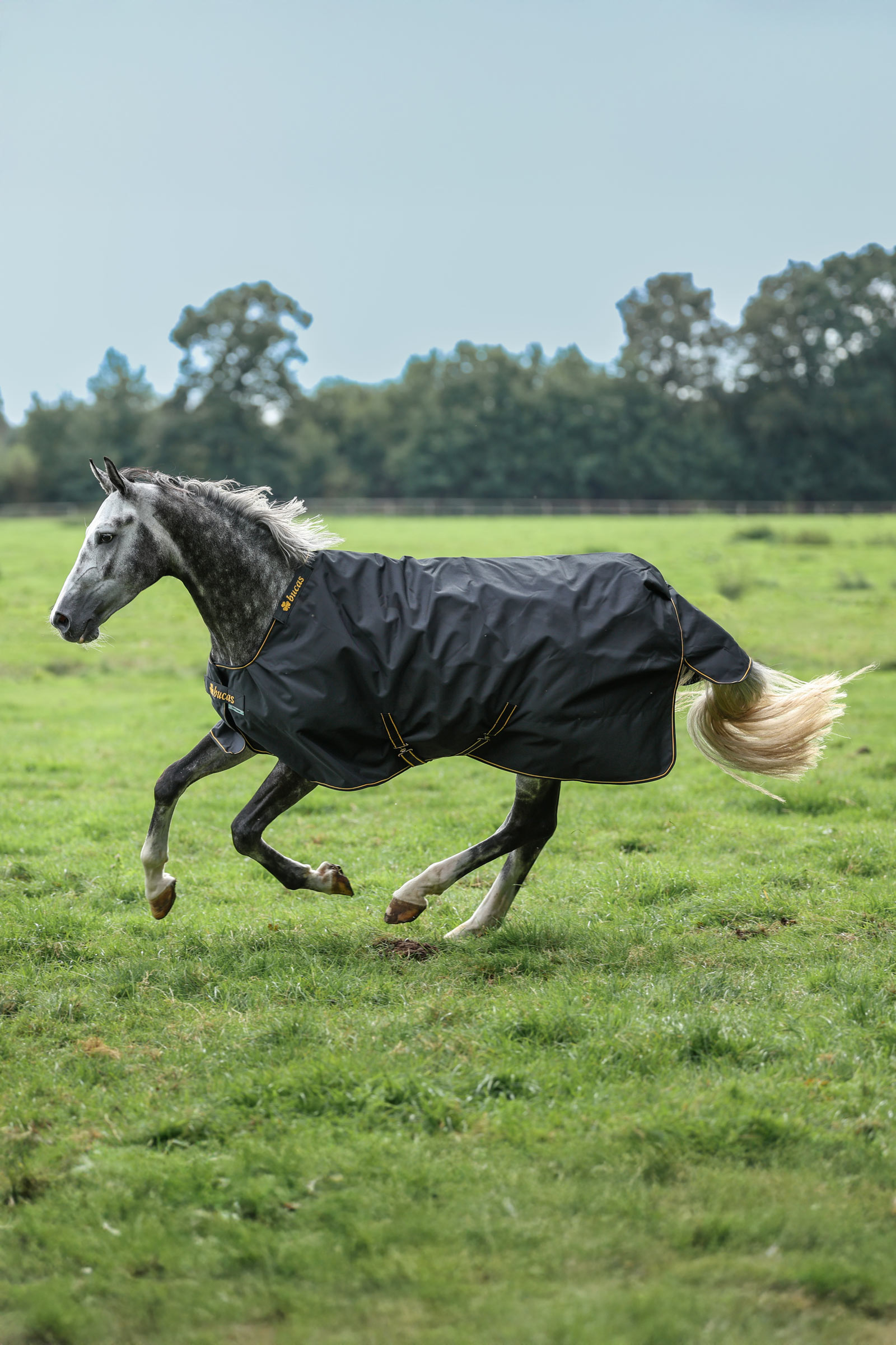 Bucas Irish manta de exterior, 100 g