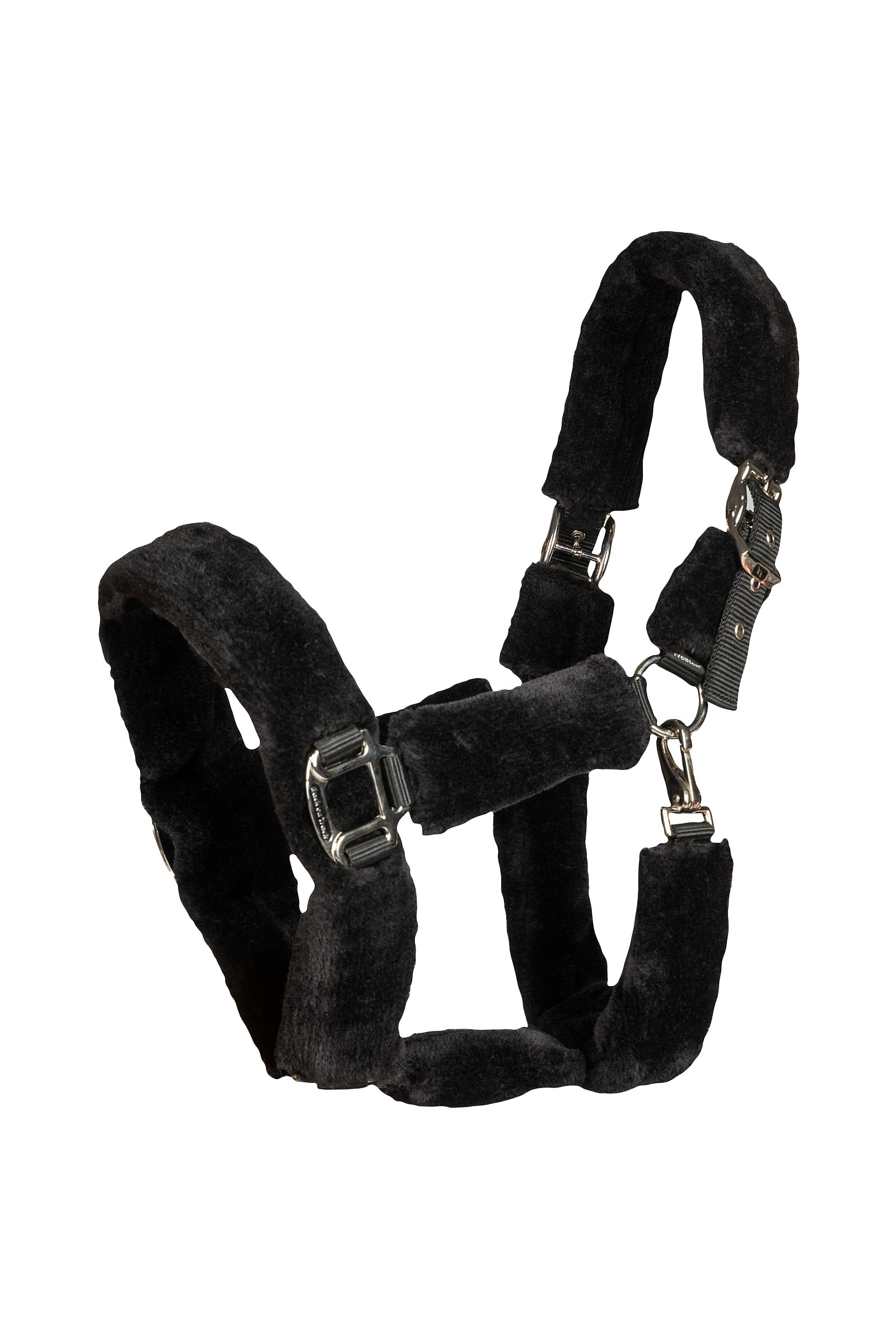 Back on Track Audrey cabezada de cuadra