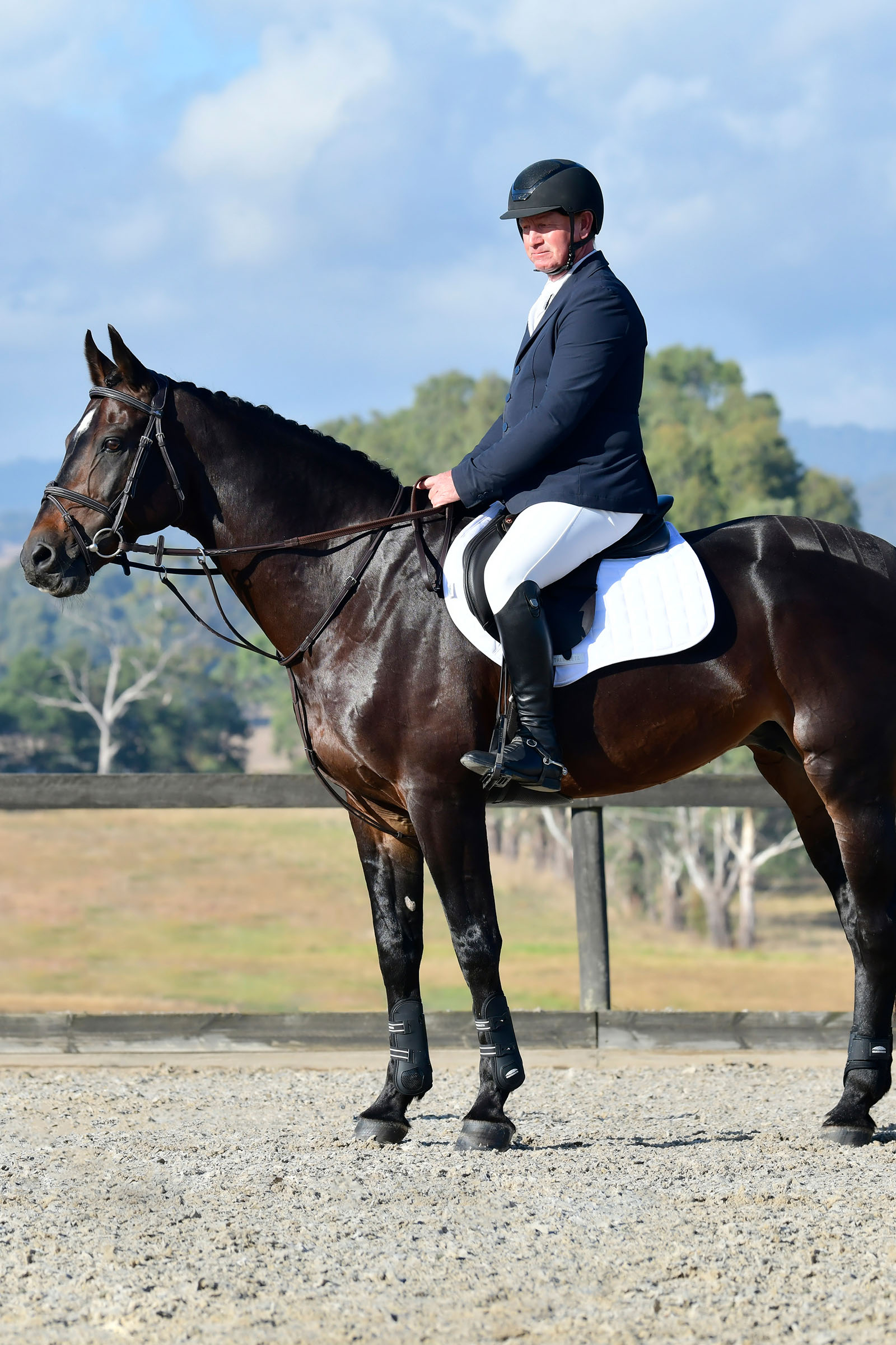 Collegiate Comfitec Opulux Fancy Stitch cabezada hanoveriana acolchada