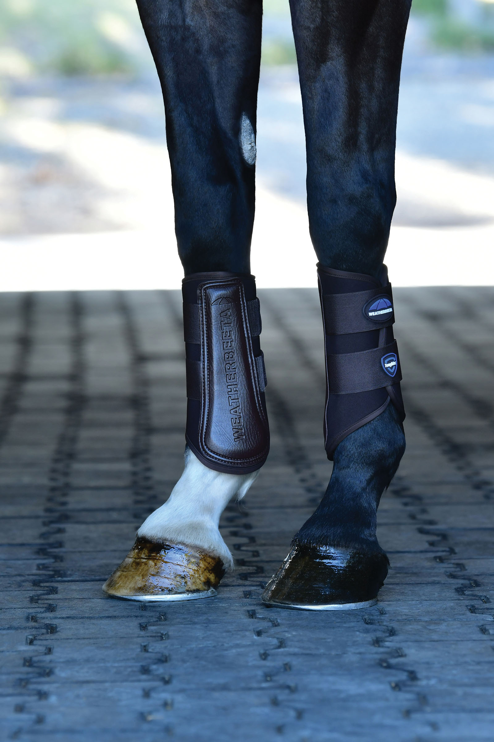 Weatherbeeta Tough-Tec Prime Protectores doma