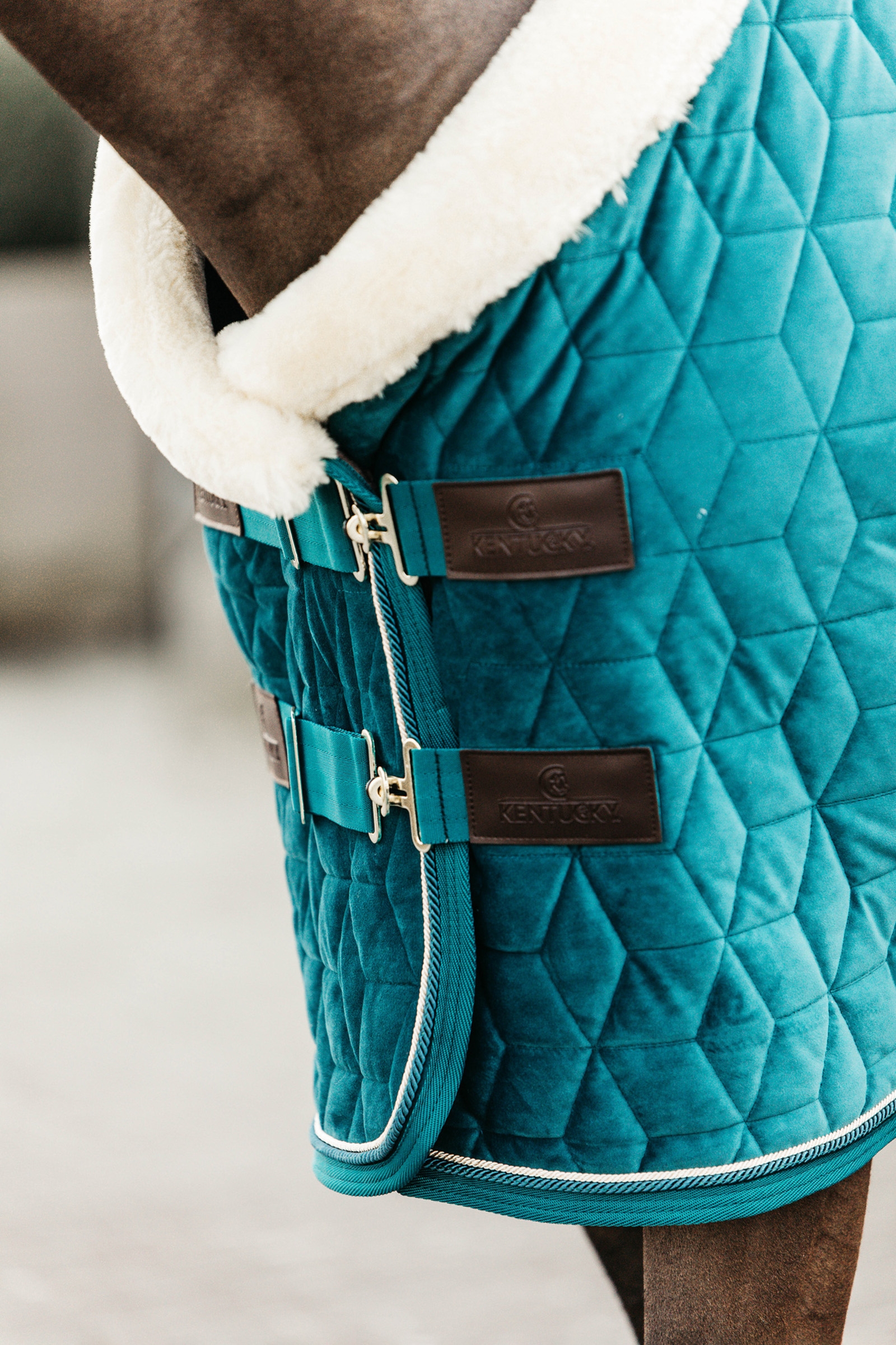 Manta de Concurso de Terciopelo para Poni Kentucky Horsewear, 160g