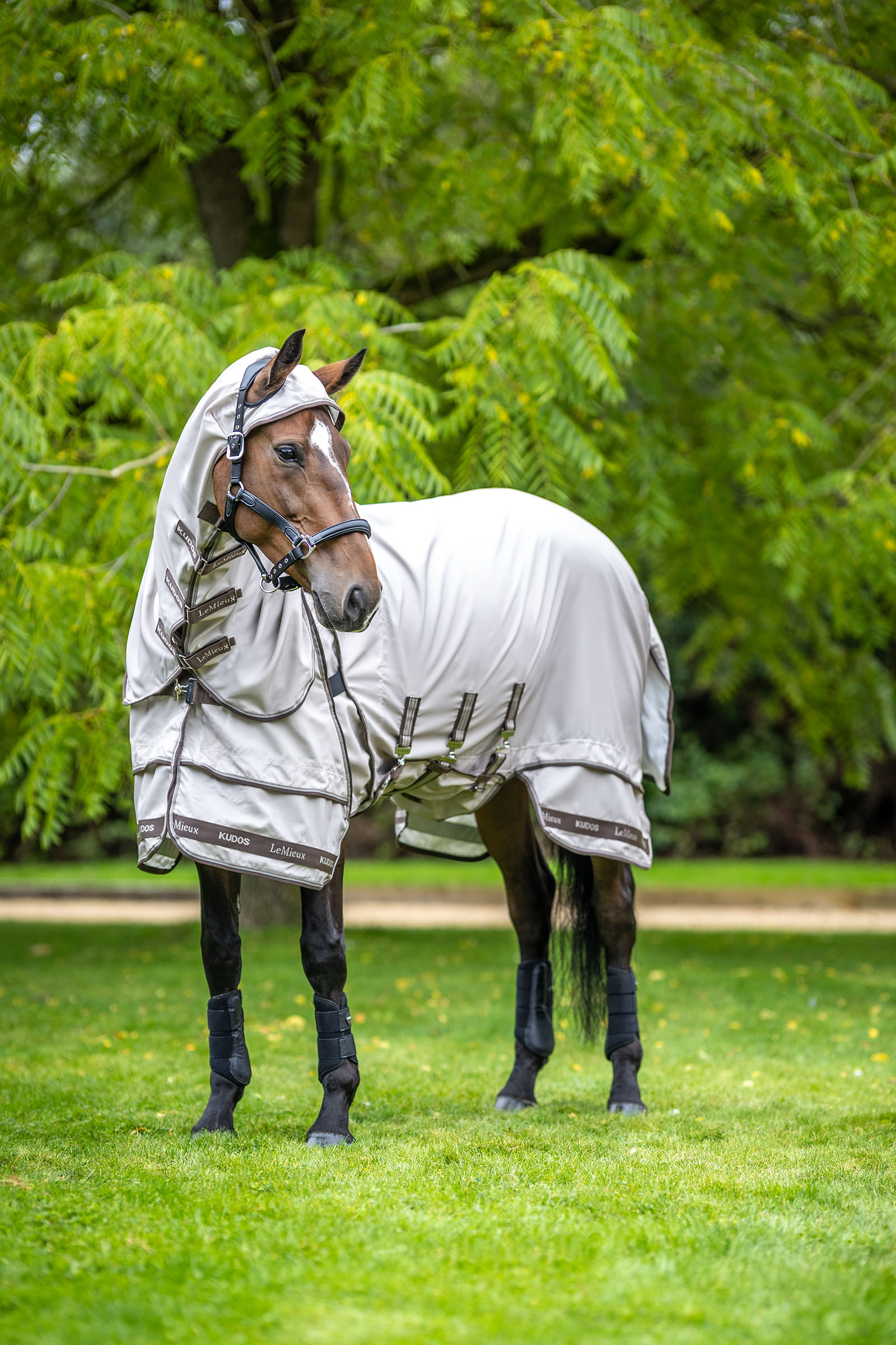 LeMieux Kudos manta para eccema estival