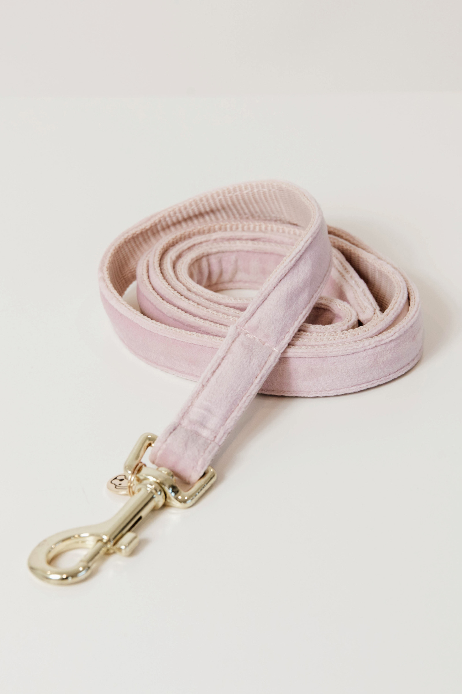 Light Pink Kentucky Dogwear Perro Correa Terciopelo