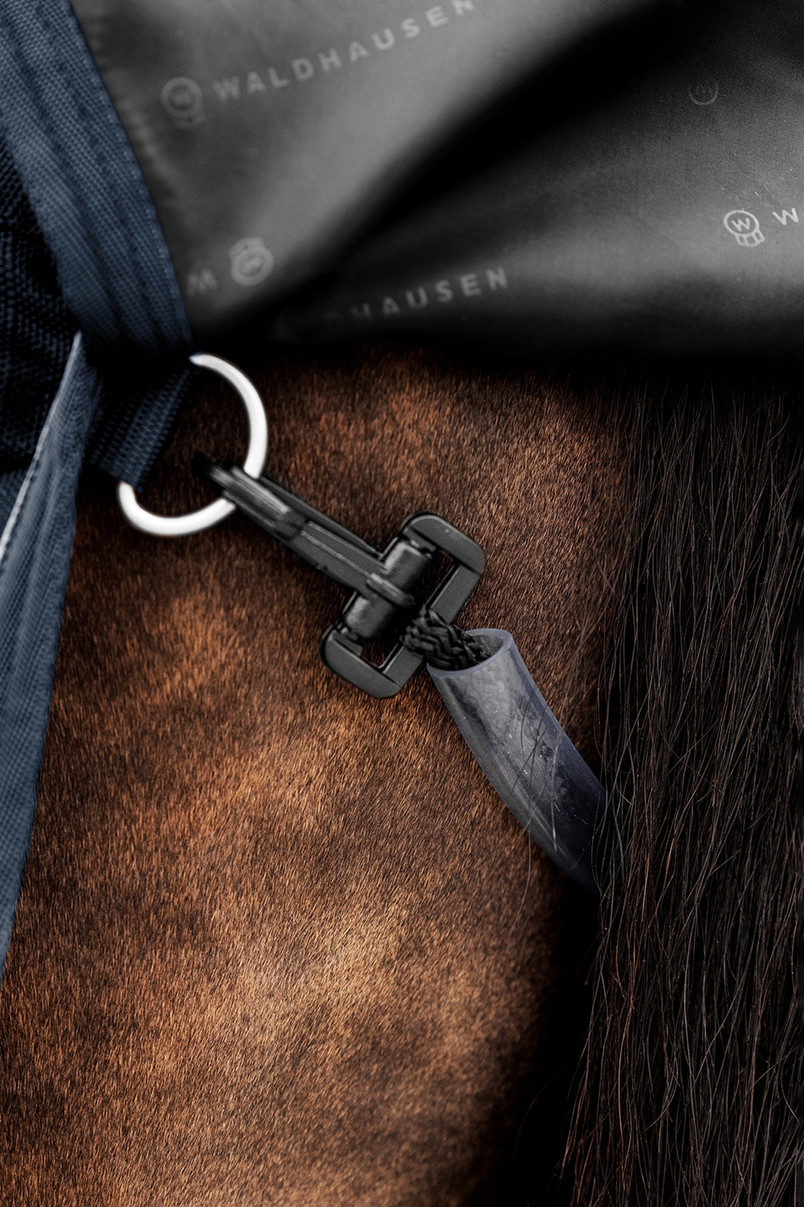 Waldhausen Outdoor Rug Scandic 300 g