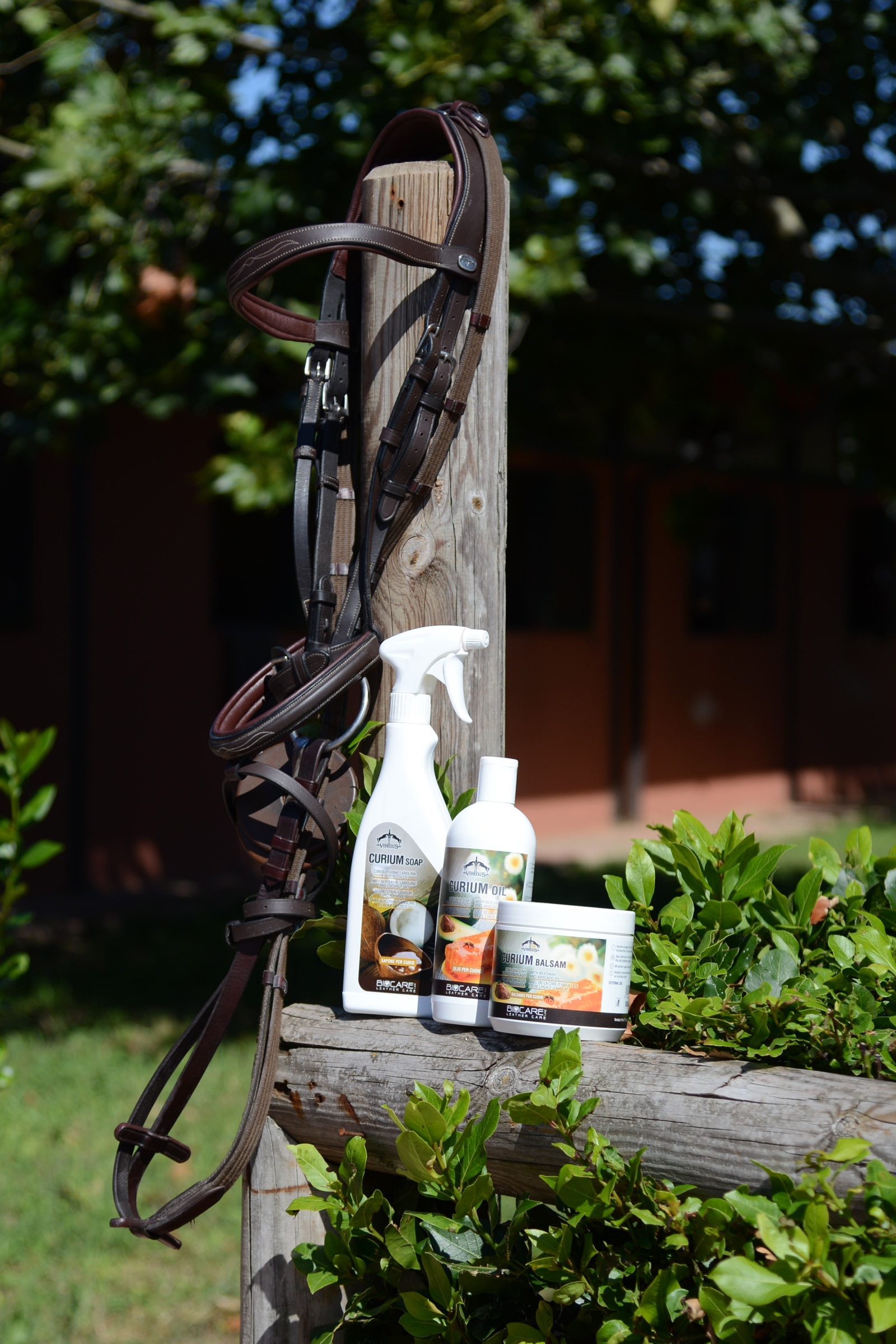 Jaboncillo Veredus Curium, 3L