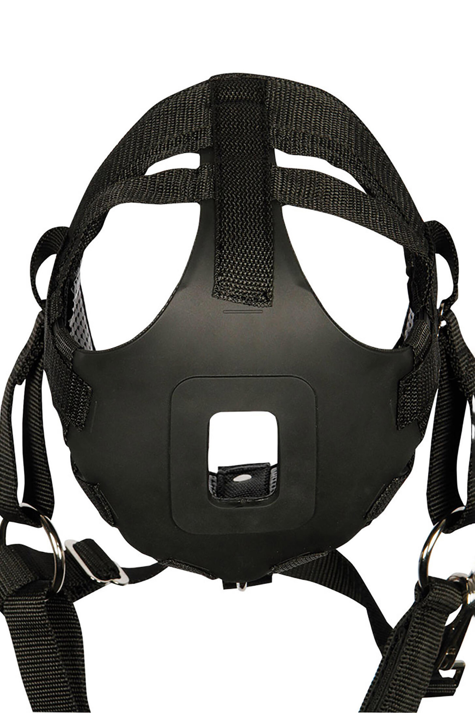 Hocico de Harry's Horse Pastando Aire