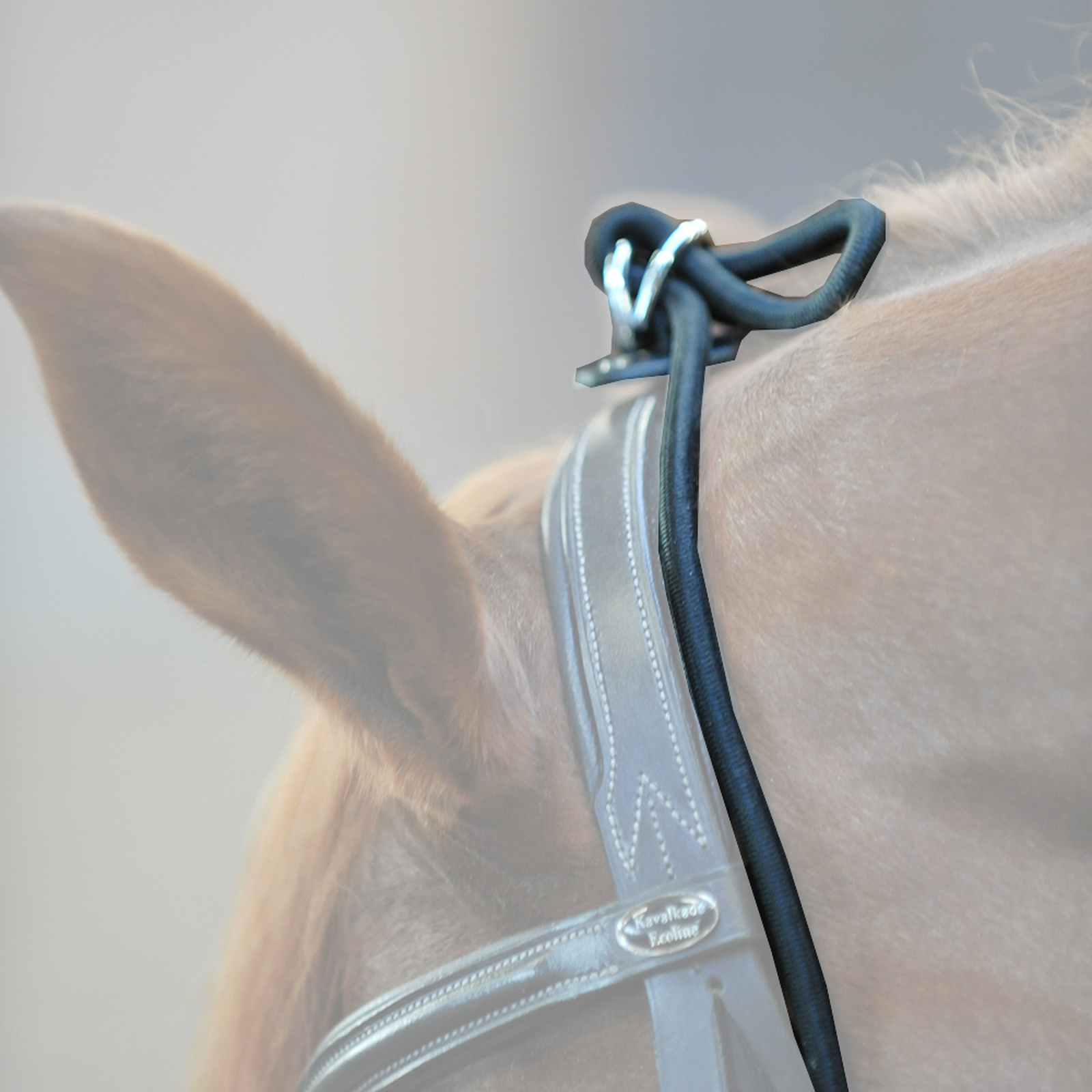 Kavalkade Bungie, elástico