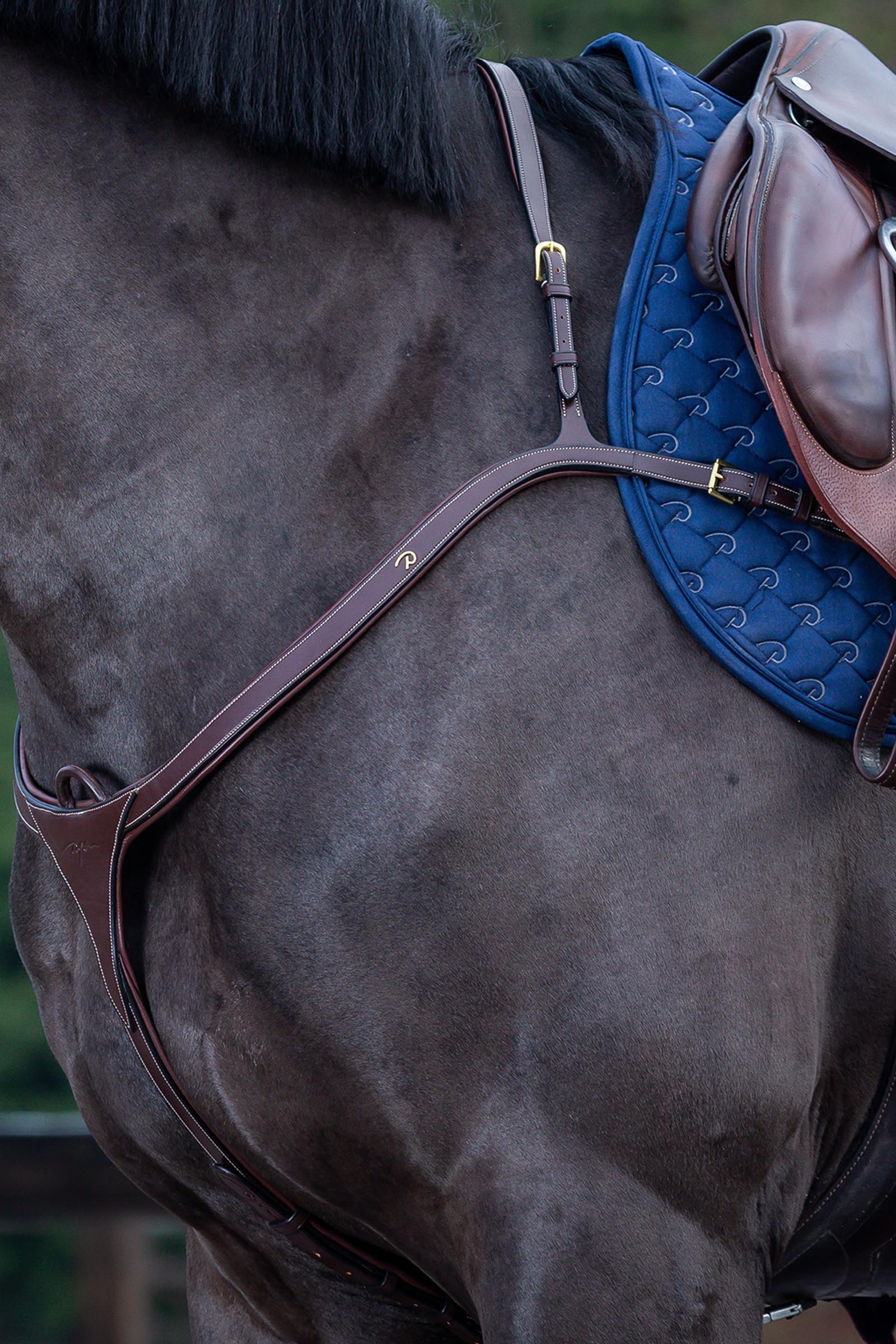 Brown Dy'on D Collection pechopetral con puente largo