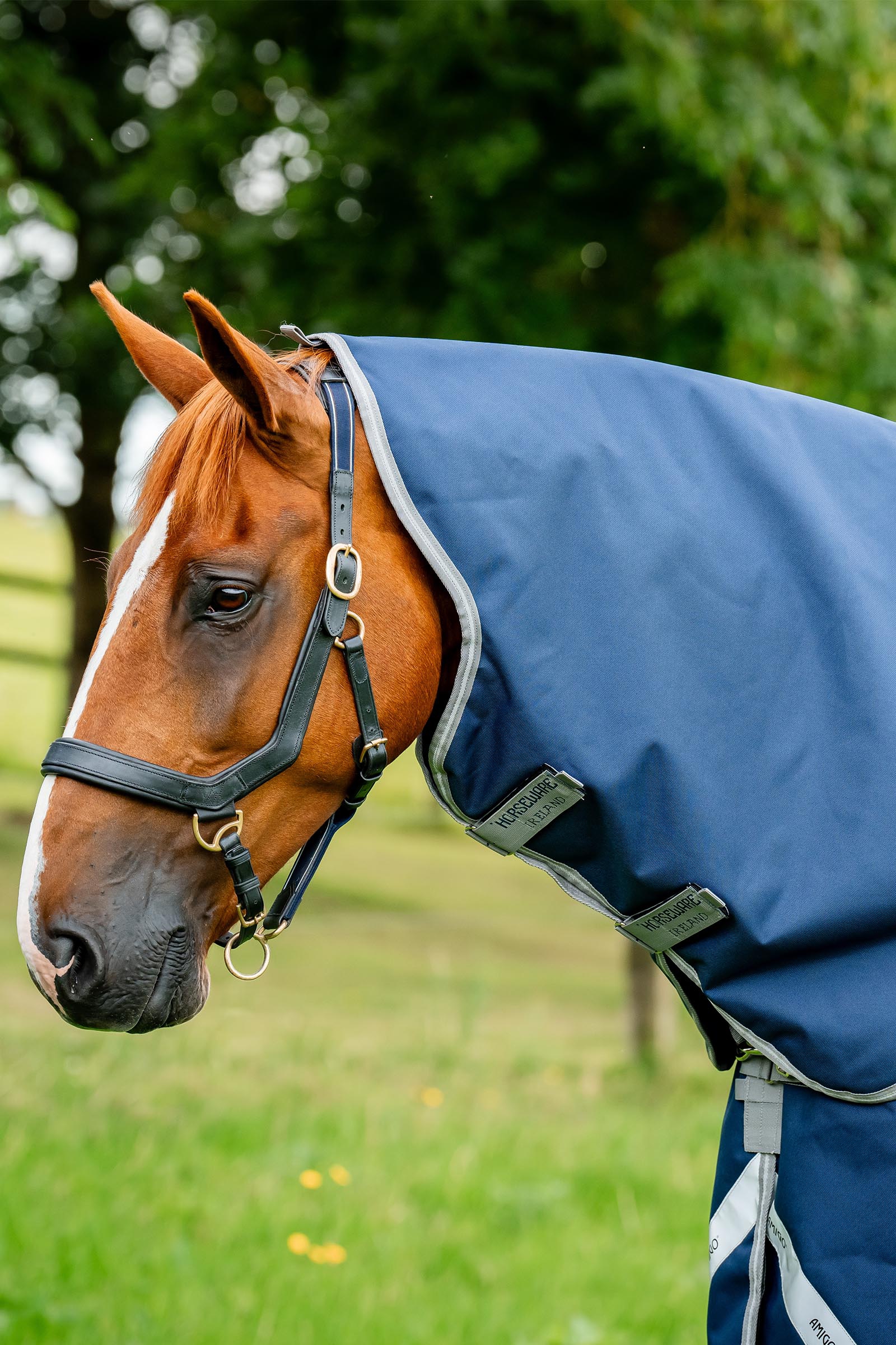 Horseware Amigo 1200D Capucha 150g