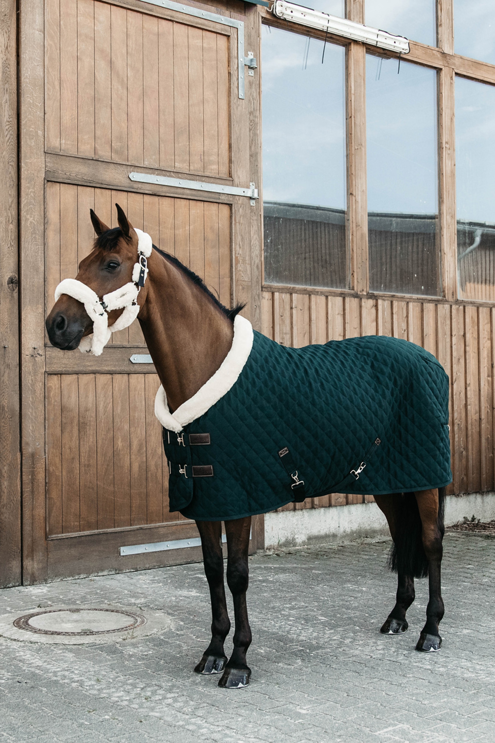Dark Green Kentucky Manta de Concurso Horsewear, 160g