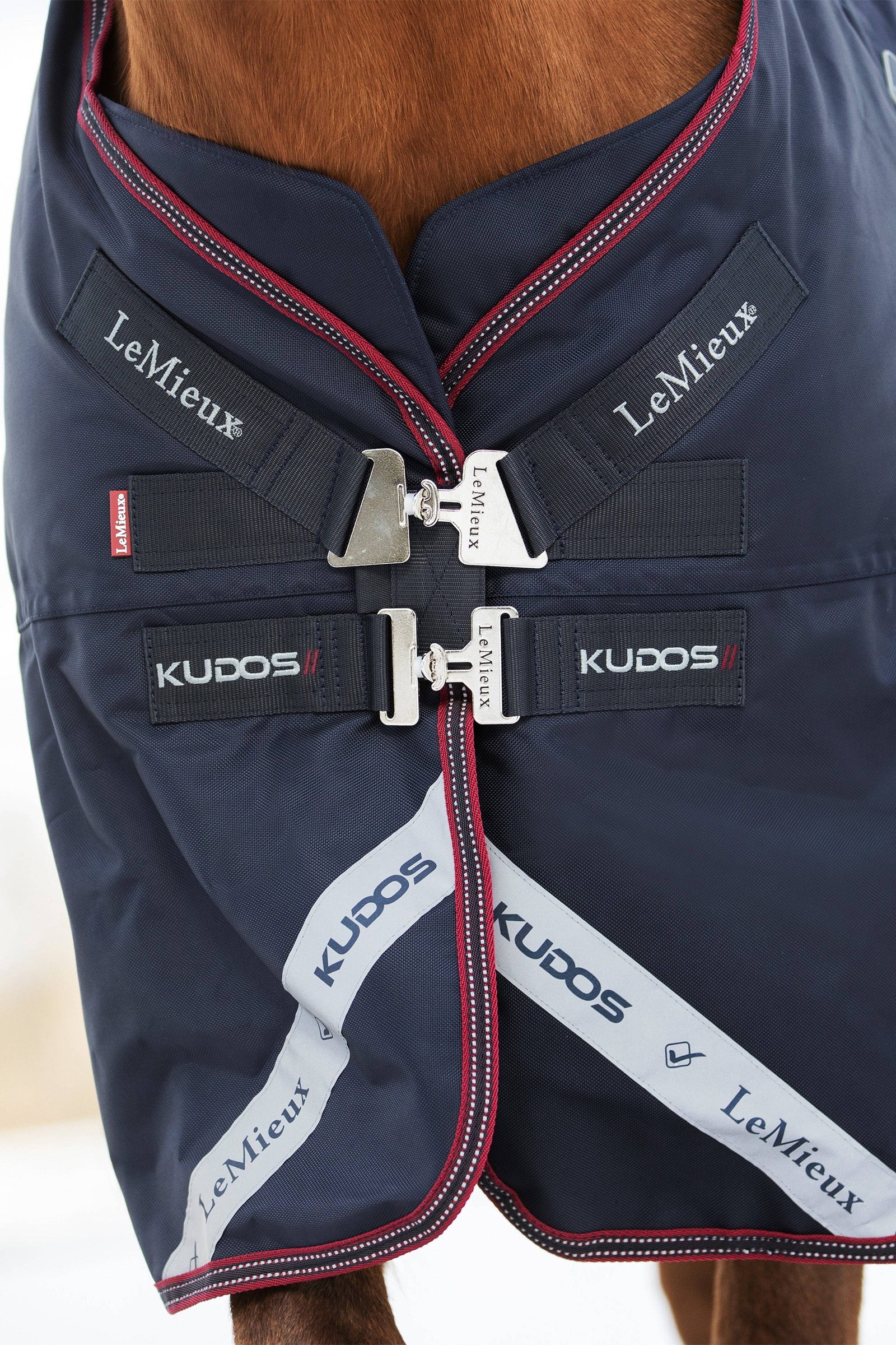 LeMieux Kudos manta ligera de exterior 100g