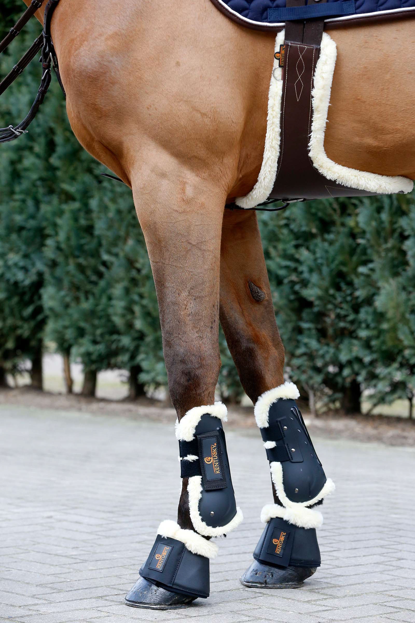 Cincha con tachuelas de piel de oveja Kentucky Horsewear