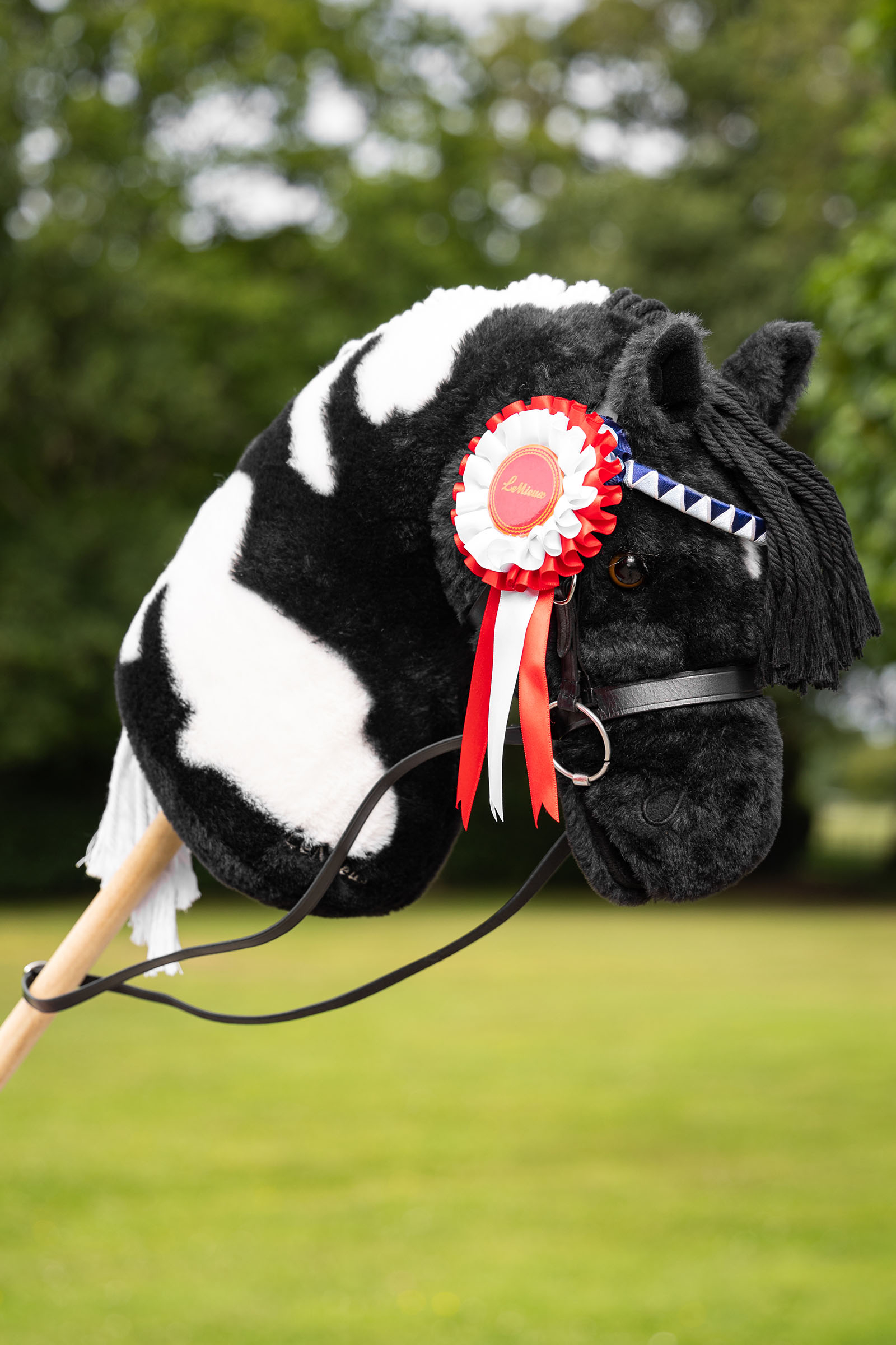 LeMieux Hobby Horse pack de rosetas