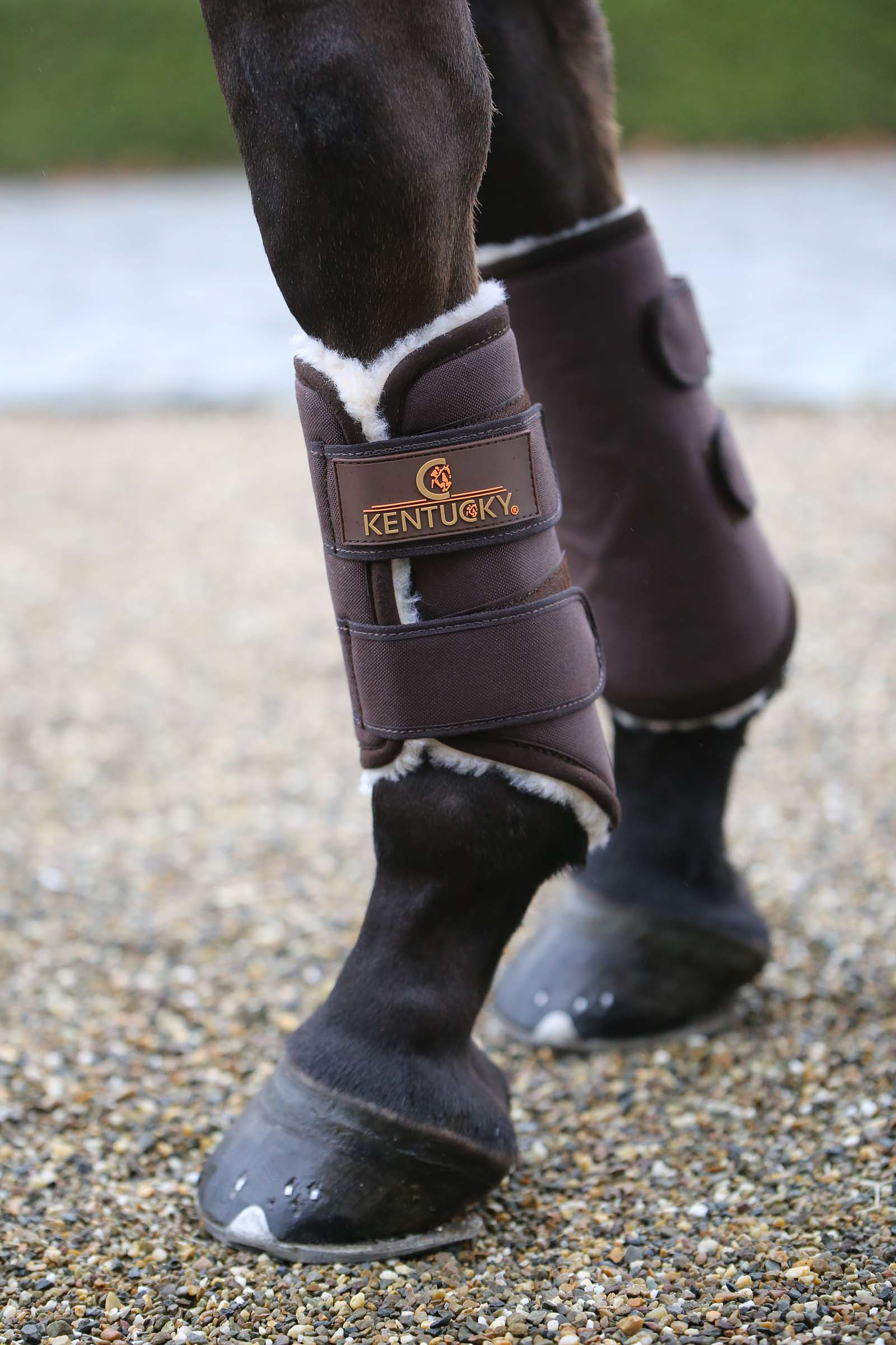 Brown Kentucky Horsewear Botas de asistencia Solimbra, parte trasera