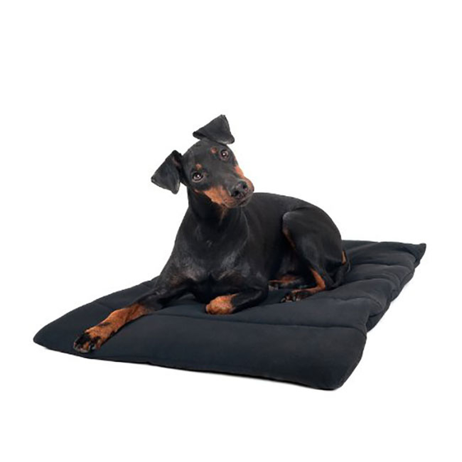 Manta para Perro Back on Track