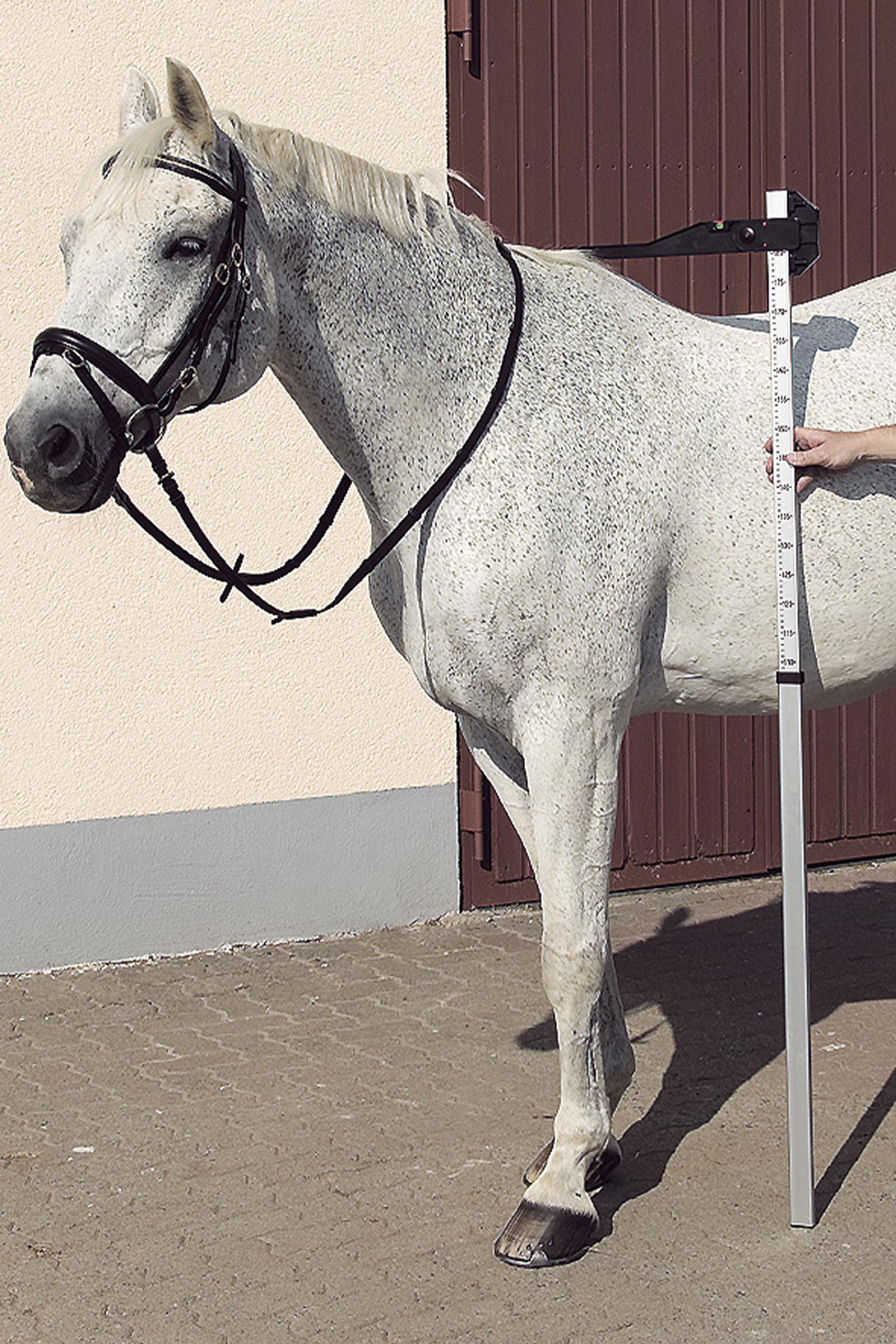 USG vara de medici&oacute;n de aluminio DLX