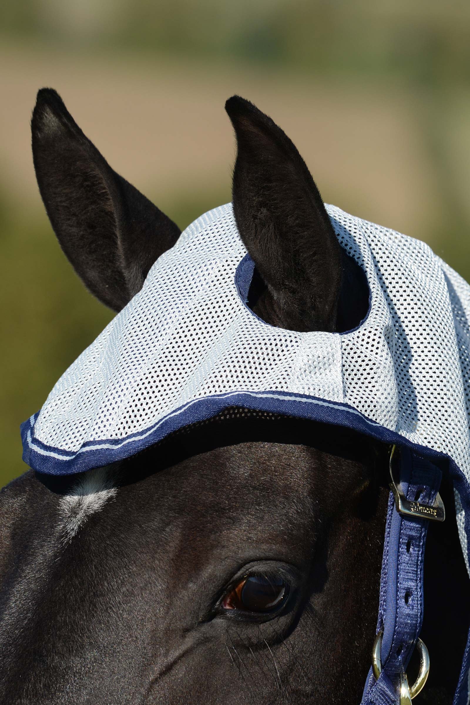 Bucas Buzz-Off X-light Full Neck manta anti-moscas con cuello fijo