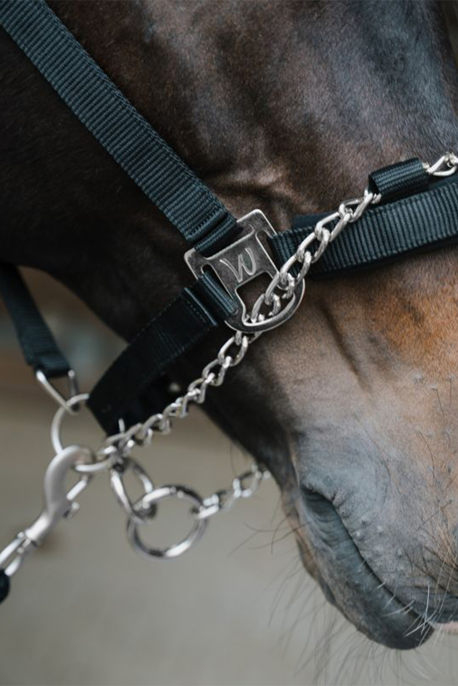 Waldhausen Pro Safety cabezada