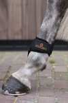 Protectores de Menudillo Kentucky Horsewear Young Horse