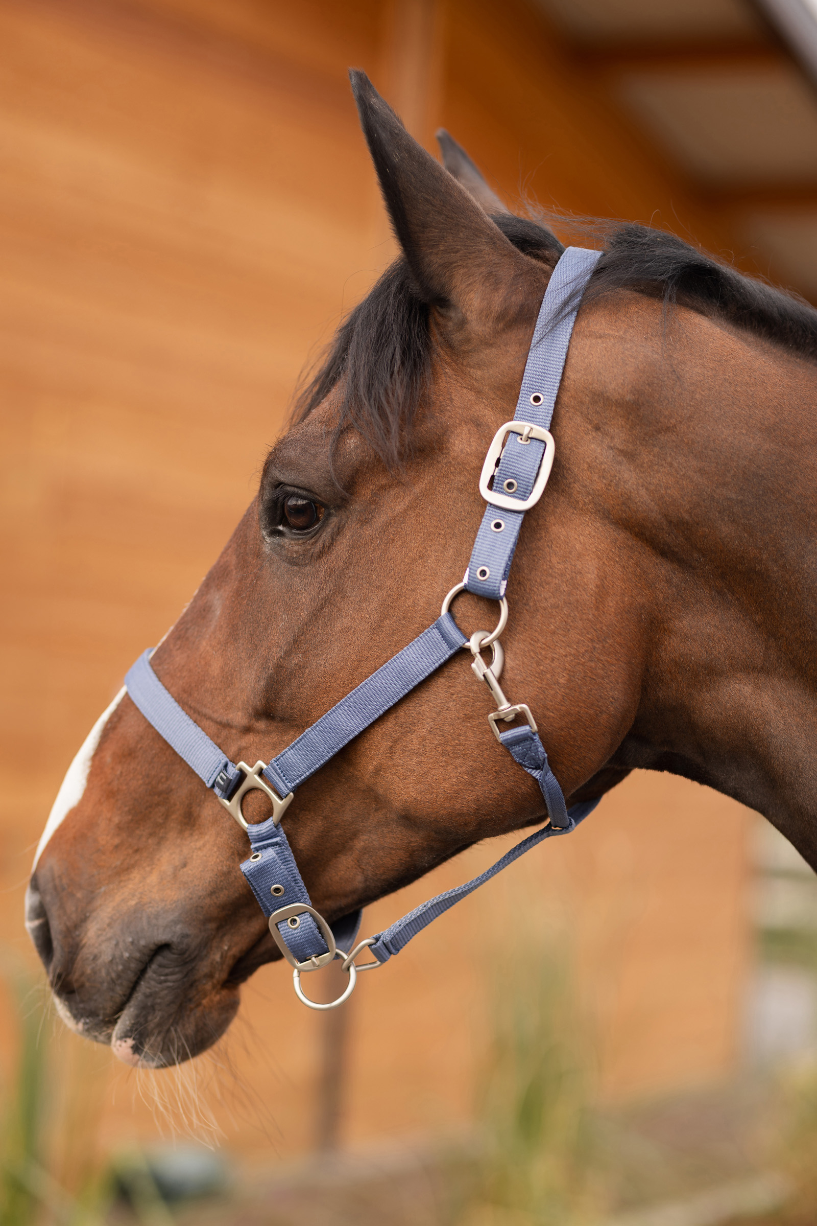 Cabezada de Cuadra Horze Rose Tonique