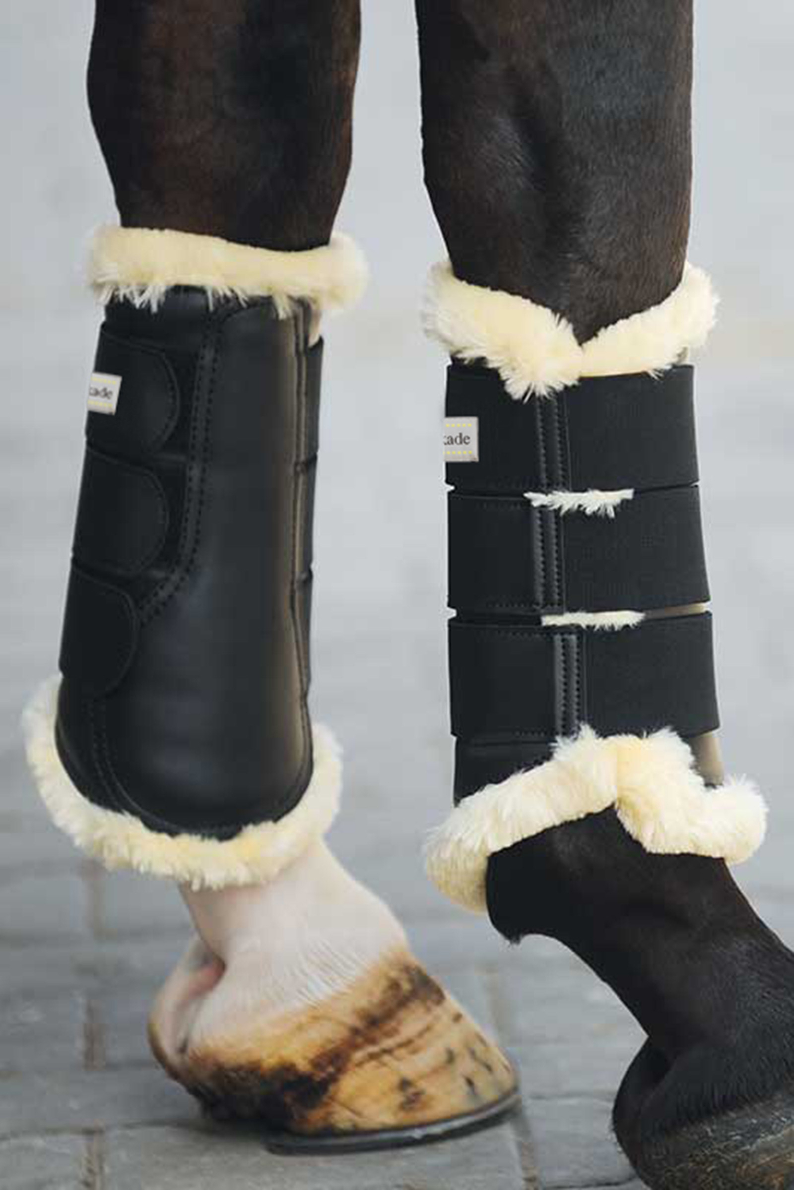 Botas de cepillado Kavalkade Show