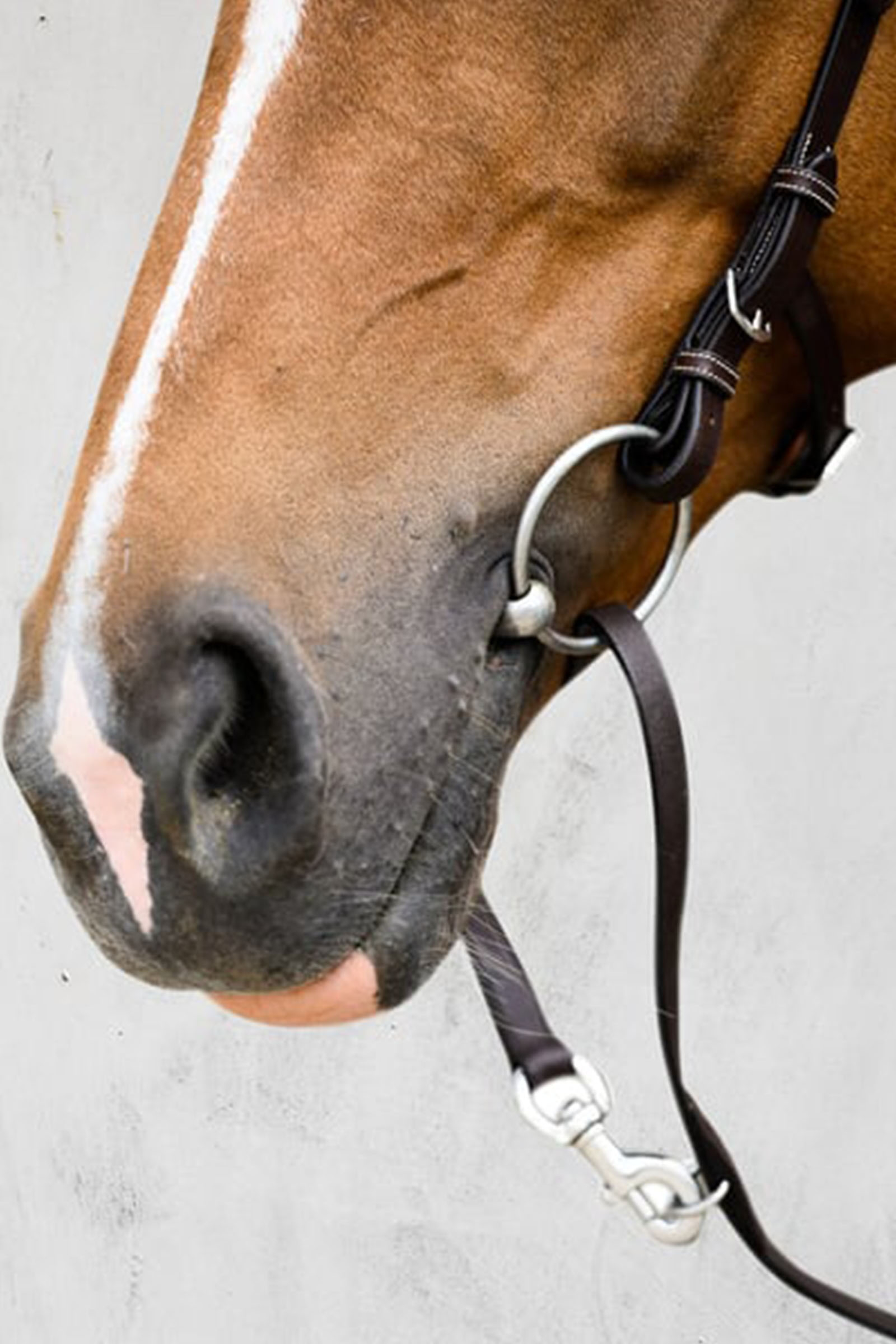 PS of Sweden Helsinki Cabezada