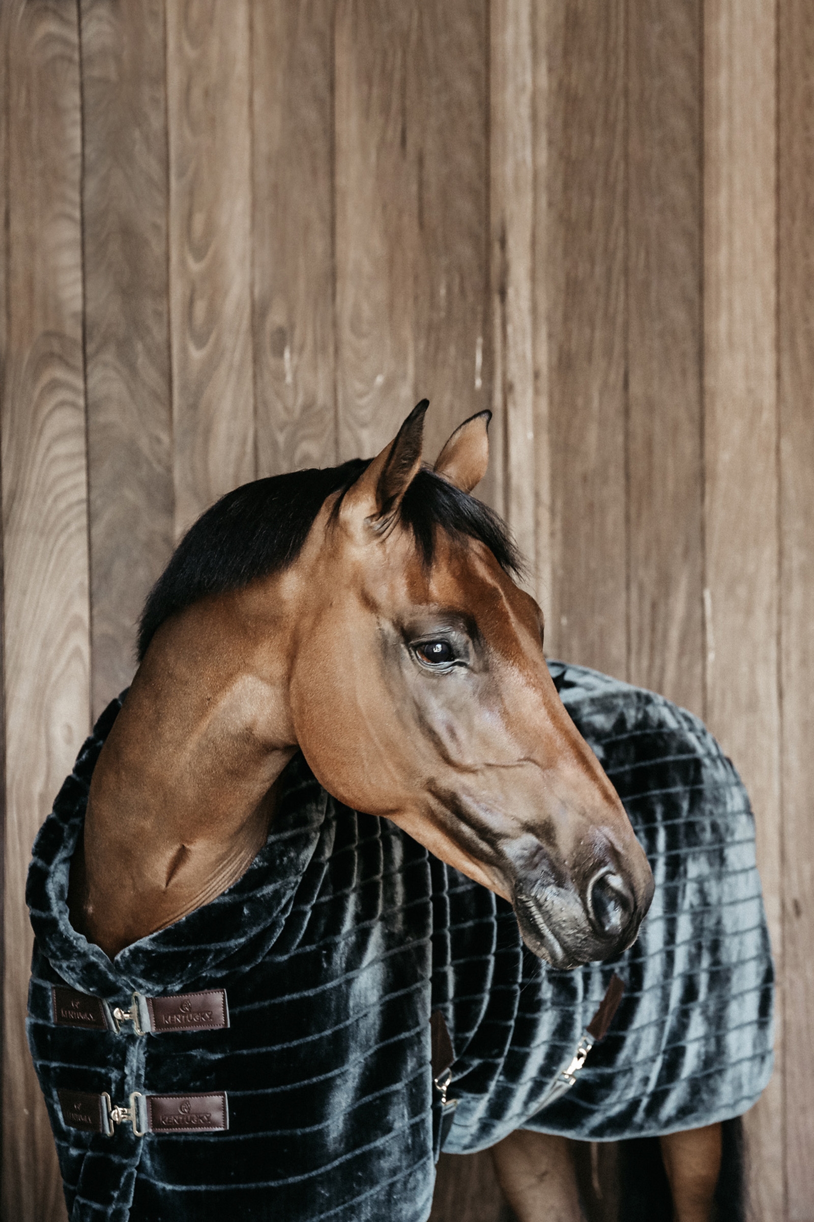 Manta de establo de piel sintética Kentucky Horsewear