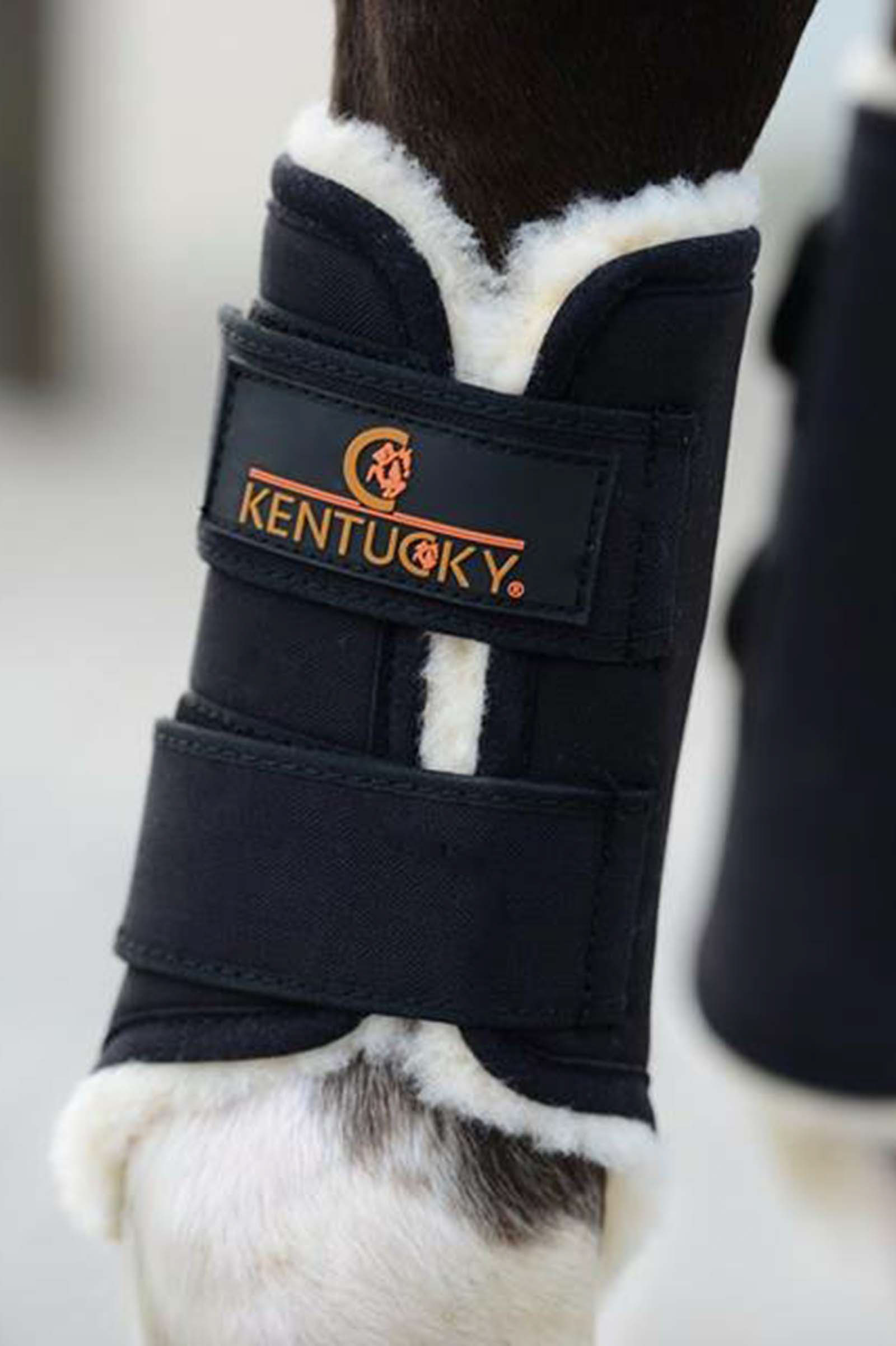 Kentucky Horsewear Botas de protección Solimbra, parte delantera