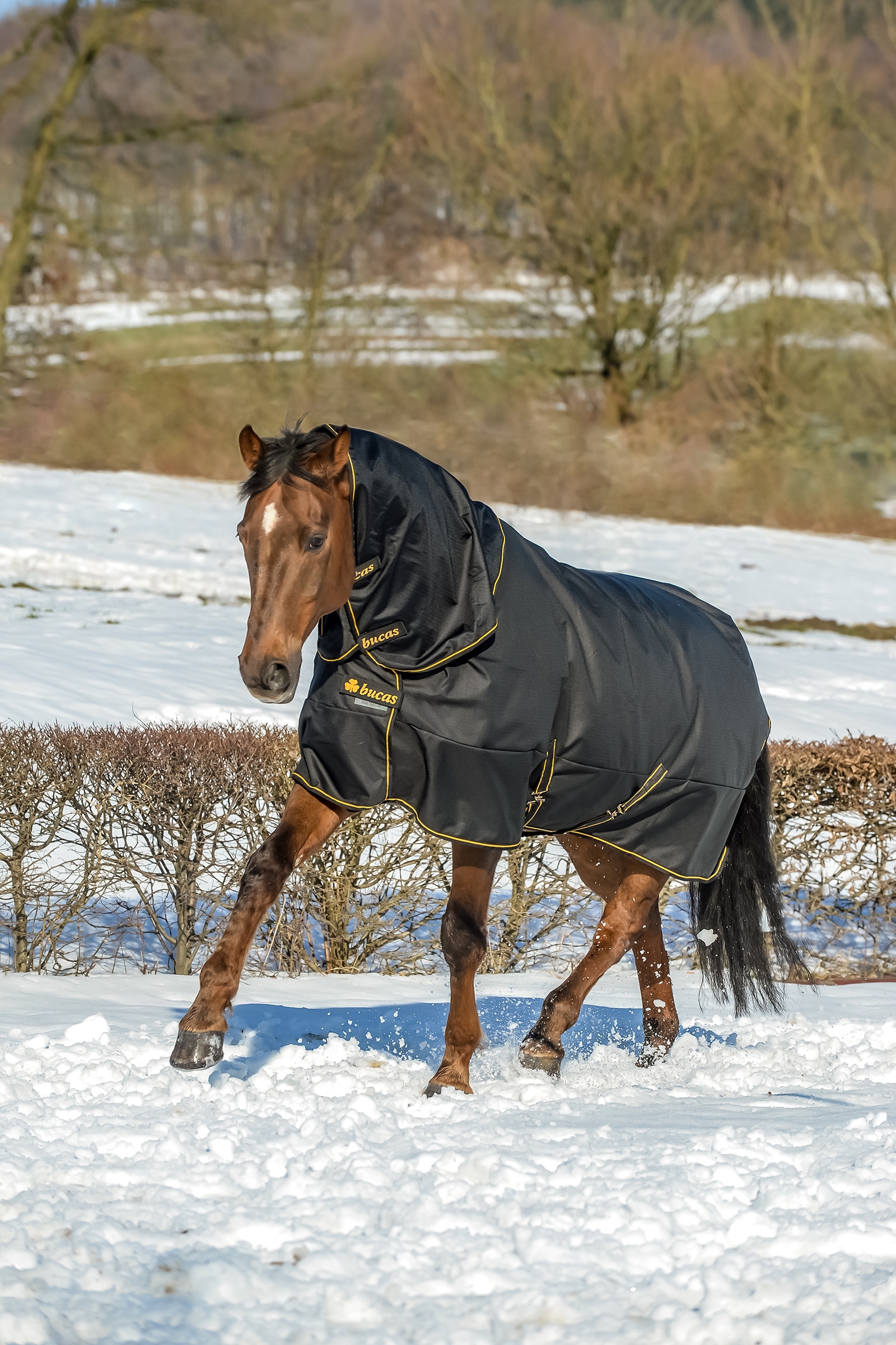 Manta de Exterior para Poni Bucas Irish Extra, 300g