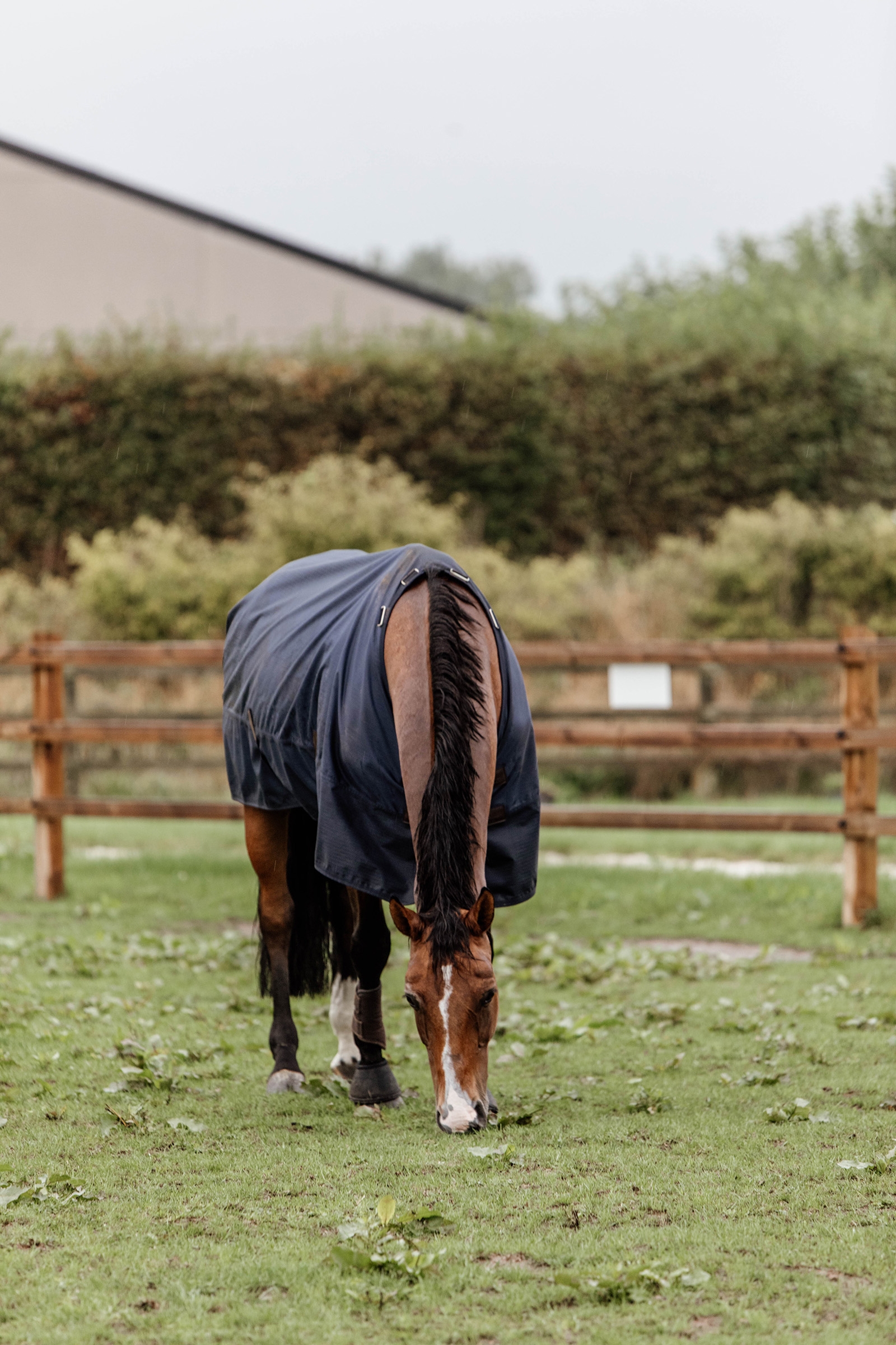 Kentucky Horsewear Turnout Manta de Exterior para todo clima, 300 g