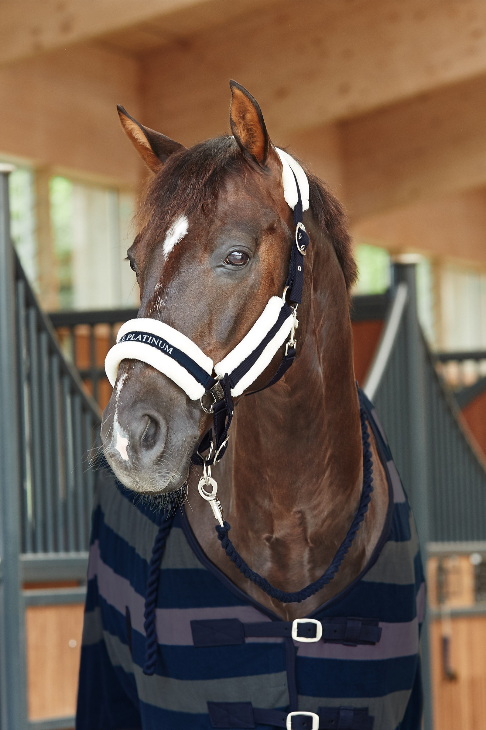 Cabezada de Cuadra con Revestimiento de Piel Horze Stanford