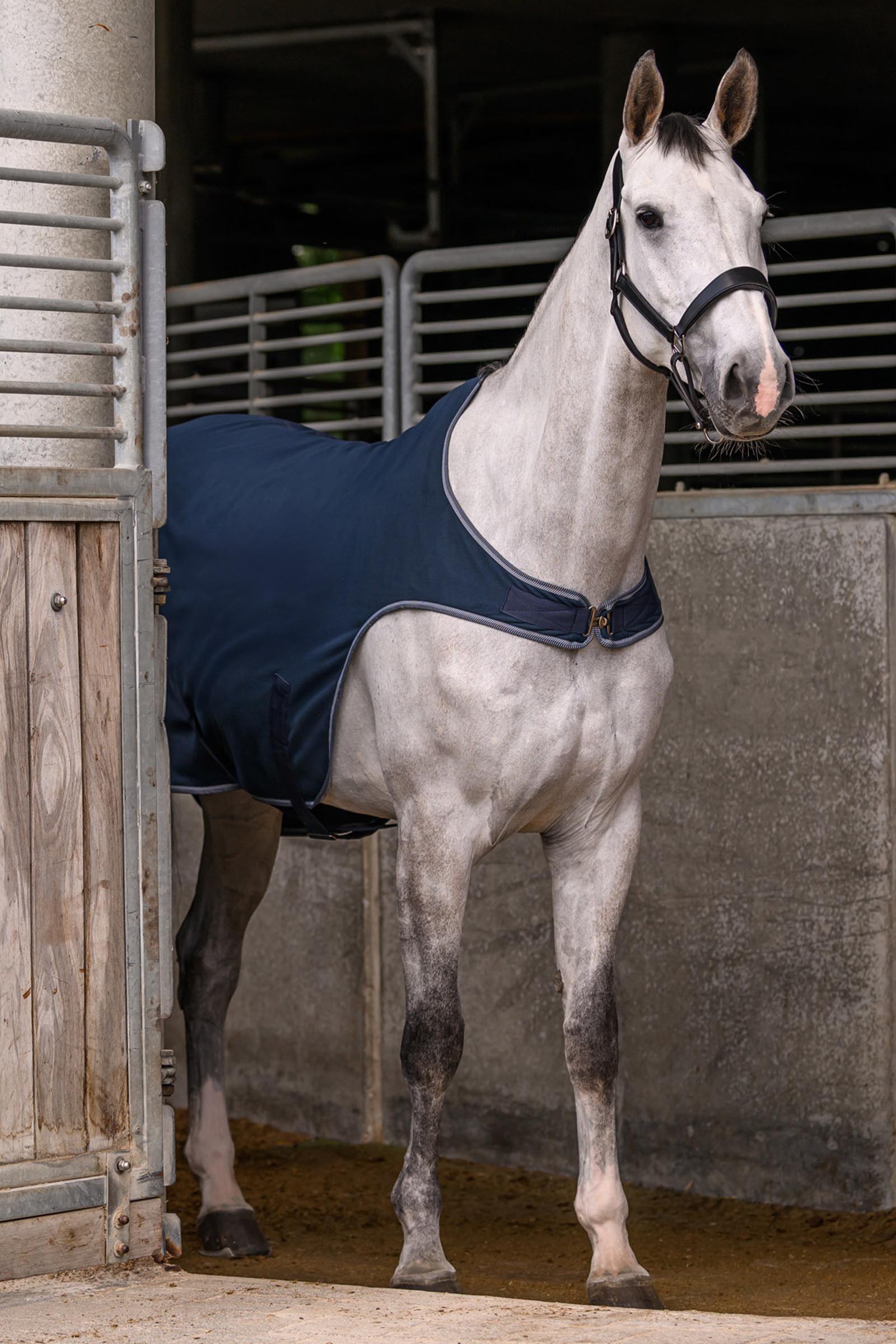 Waldhausen ECONOMIC manta polar walker 