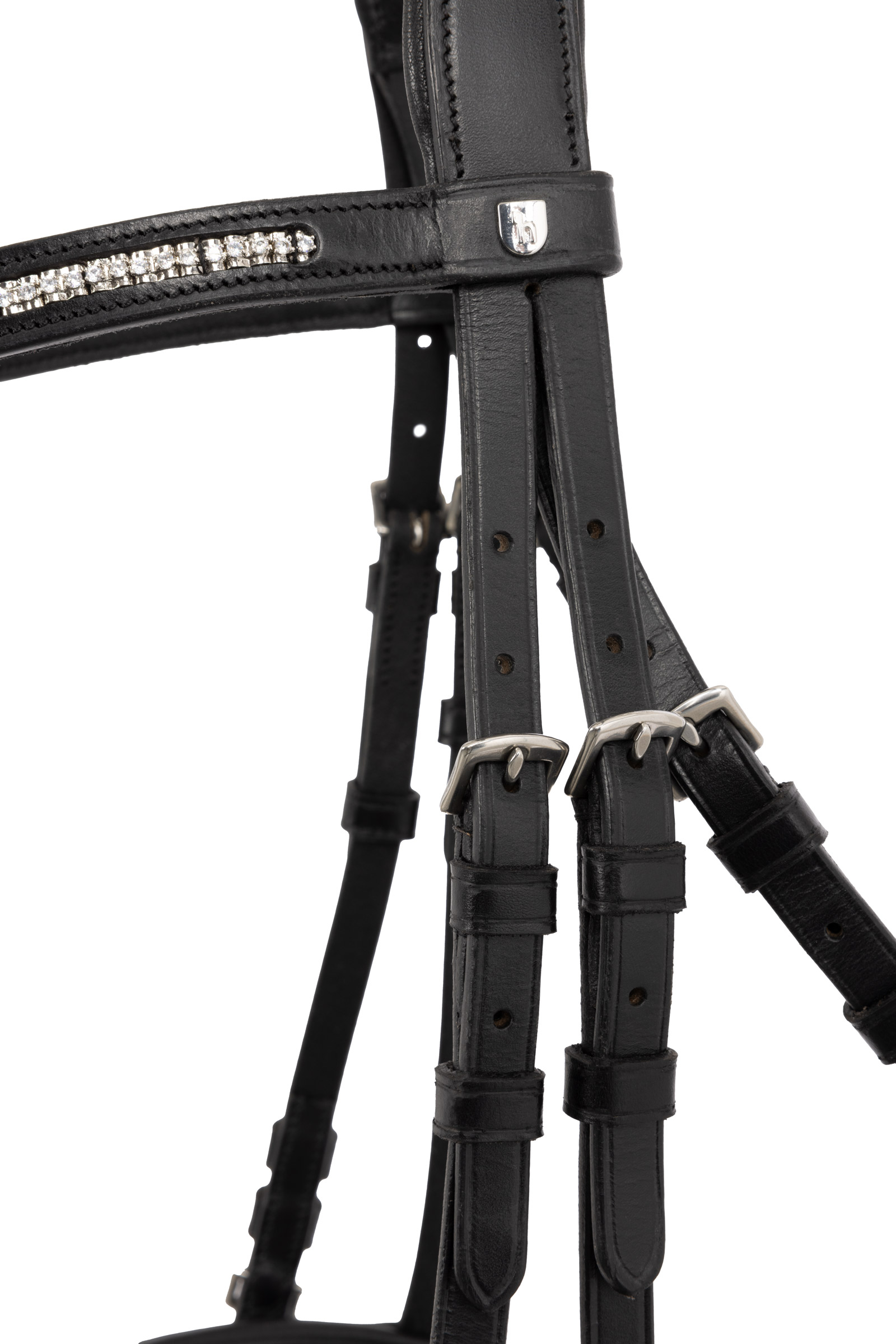 Filete anat&oacute;mico Francis Crown