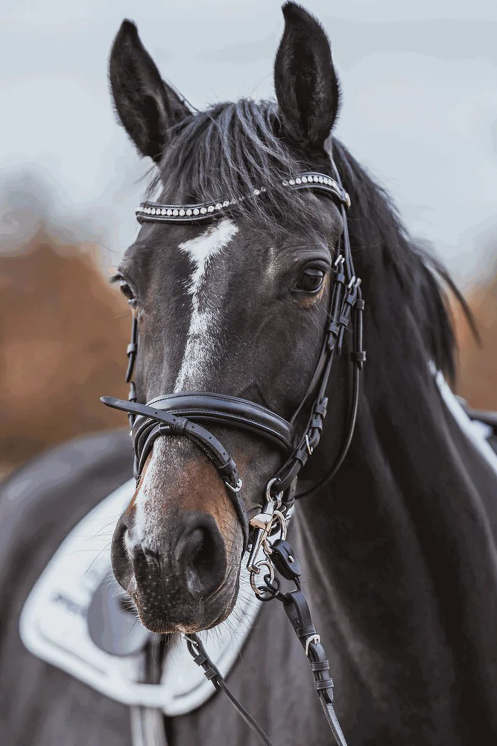 Sprenger Dynamic RS Pelham de tres piezas, Sensogan, Acero inoxidable, 16 mm