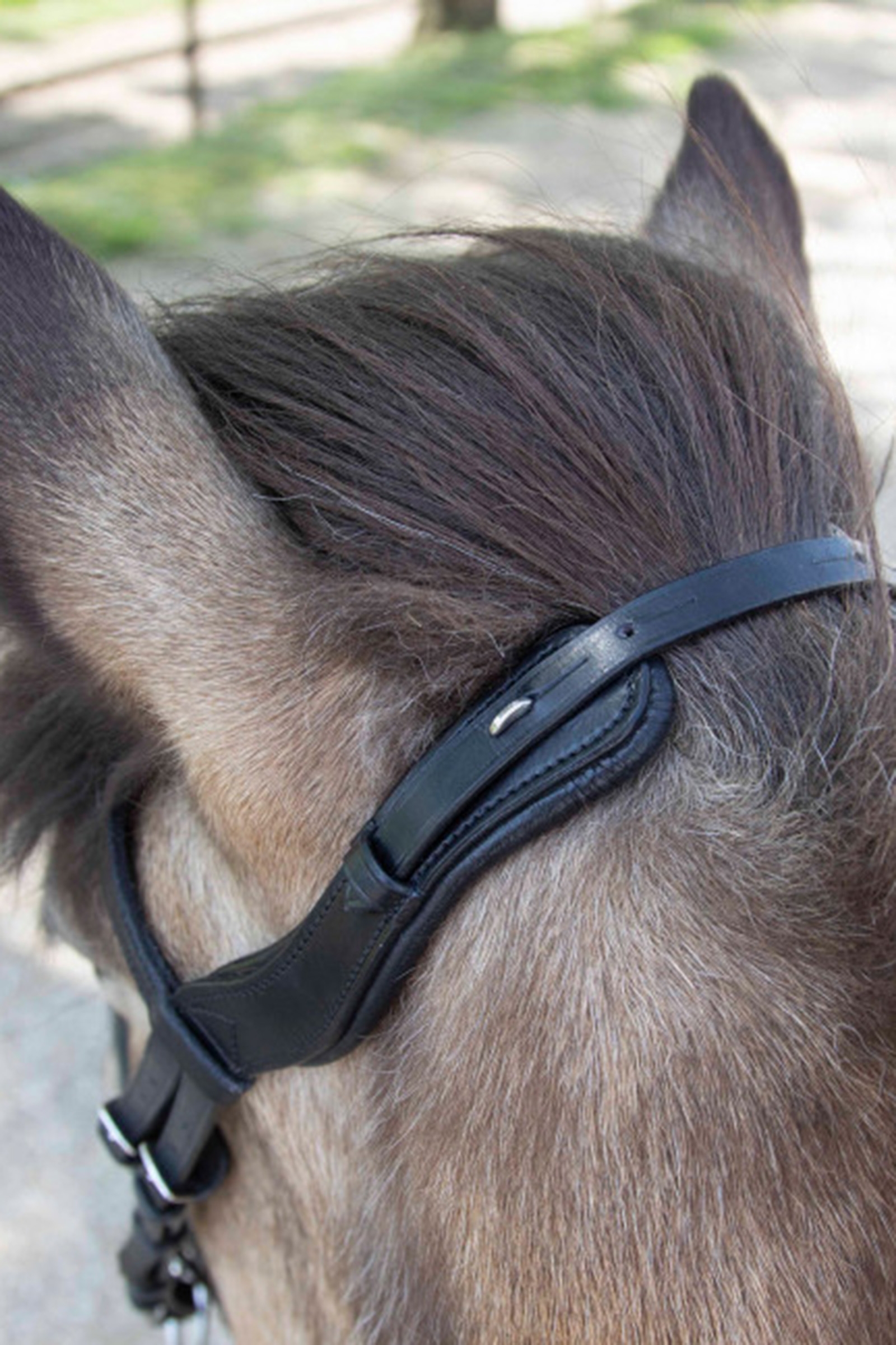 Waldhausen Anat&oacute;mica Cabezada Islandesa