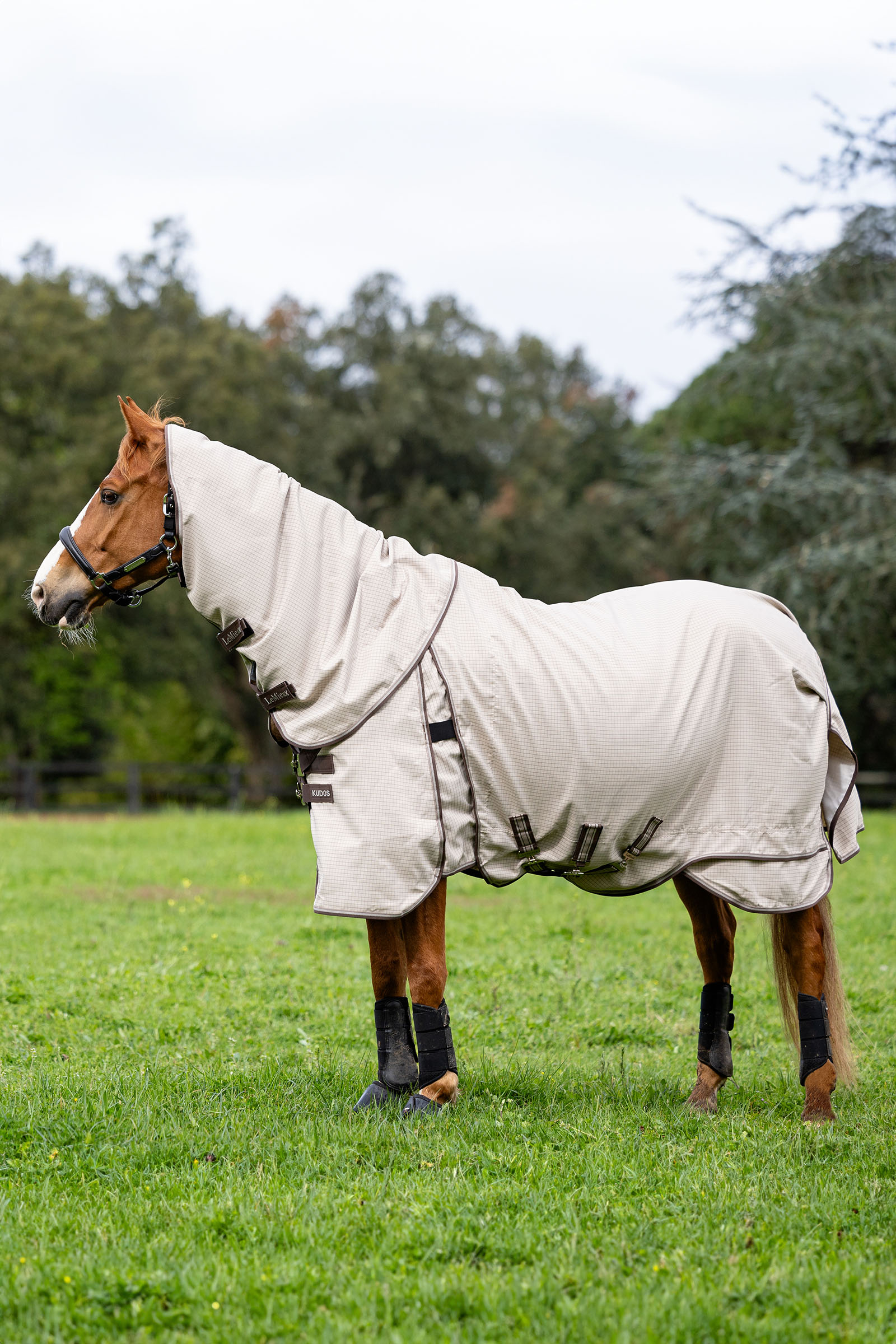 LeMieux Kudos manta de pradera