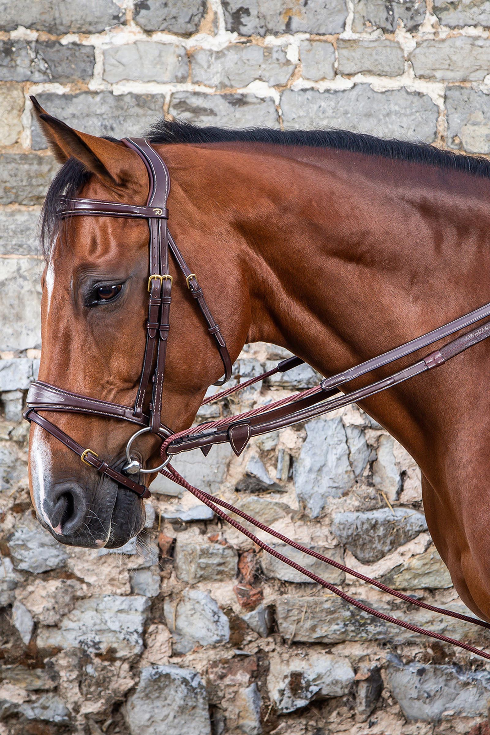 Dy'on D-Collection riendas alemanas cuero/nylon 16 mm