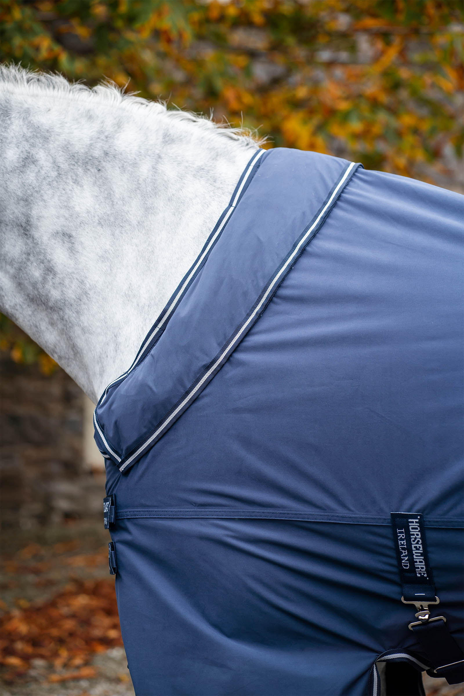 Horseware Show Ready manta