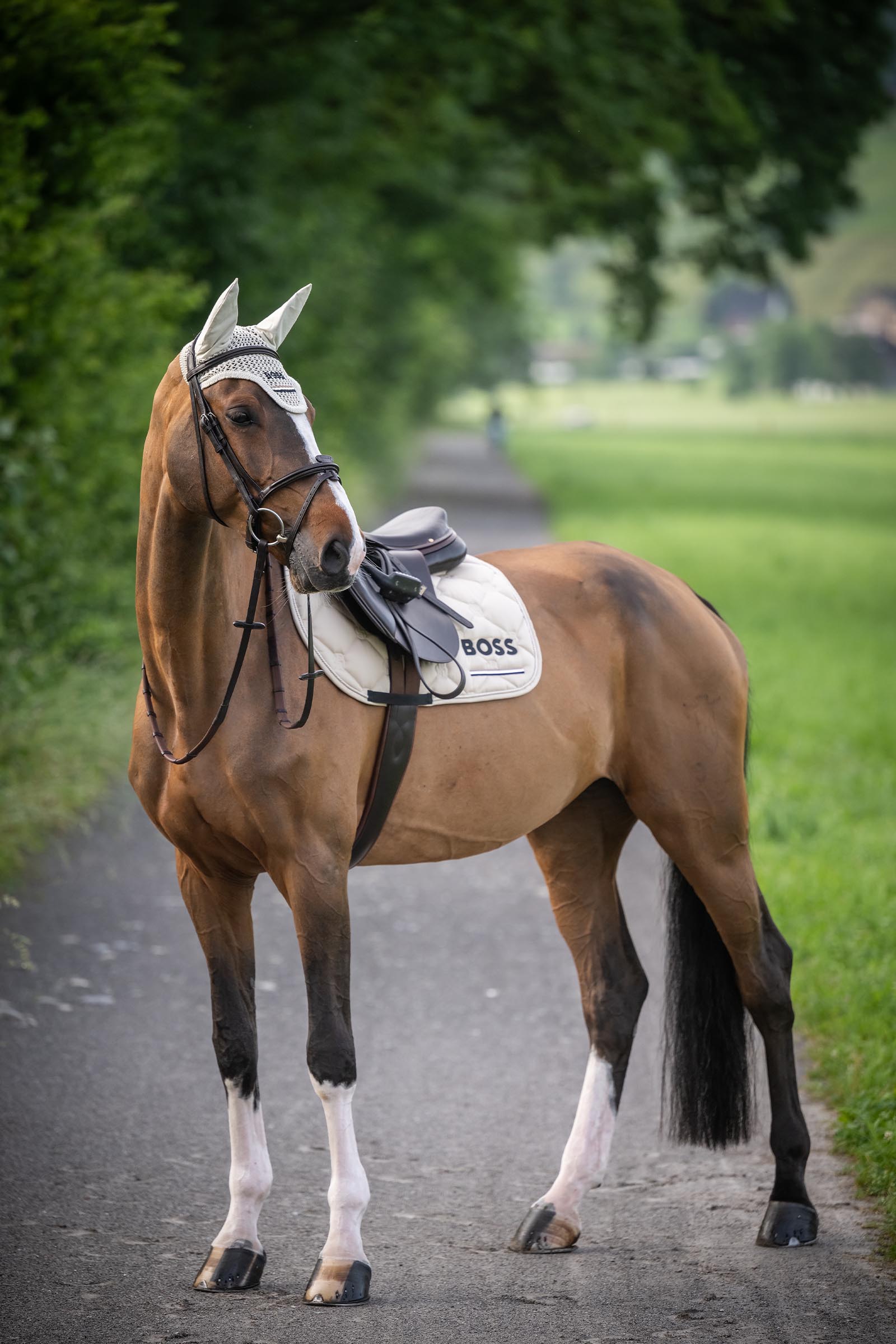 Boss Cheltenham mantilla salto