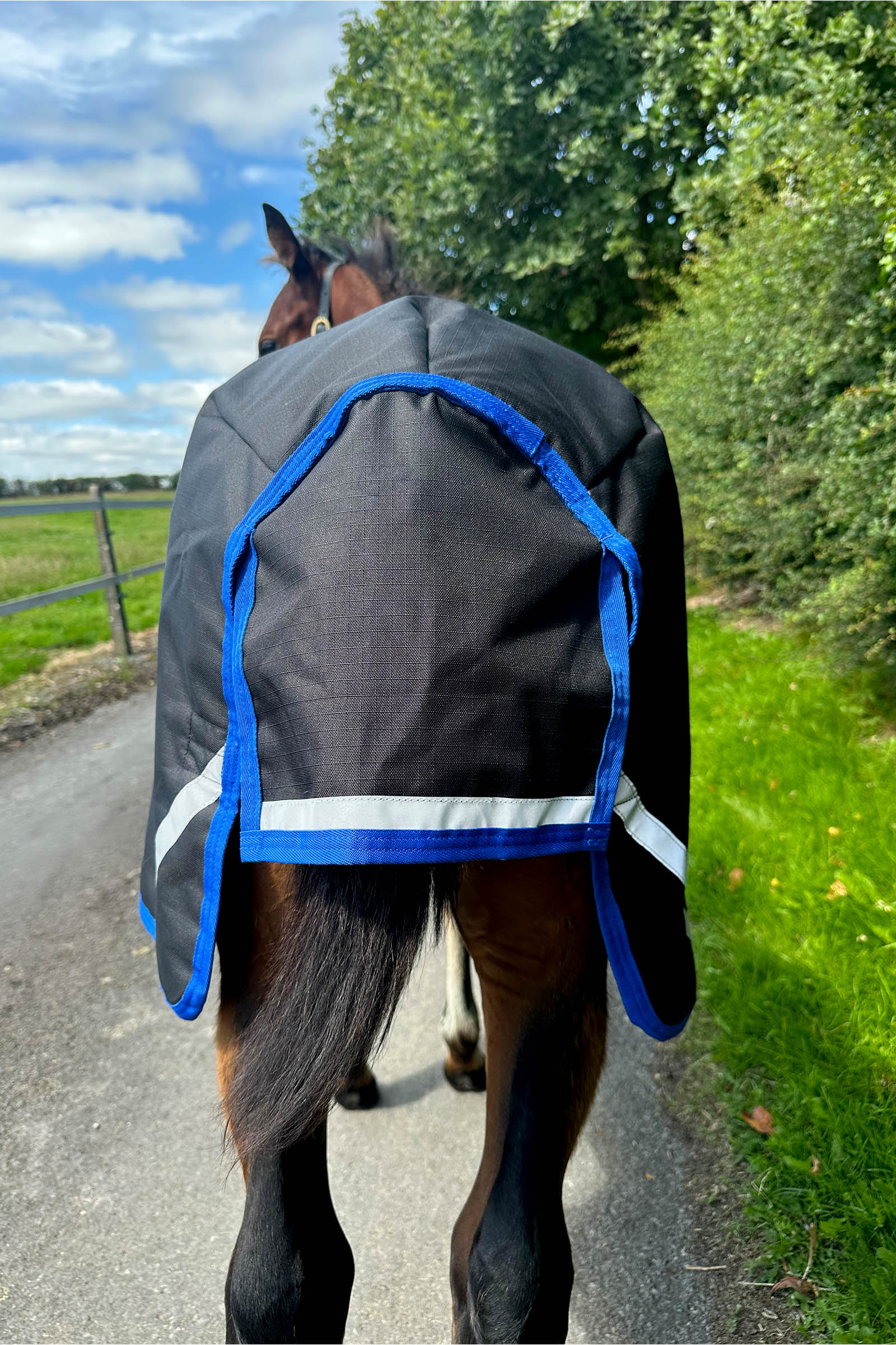 Horseware Amigo Ripstop 900D manta de exterior para potros 50g