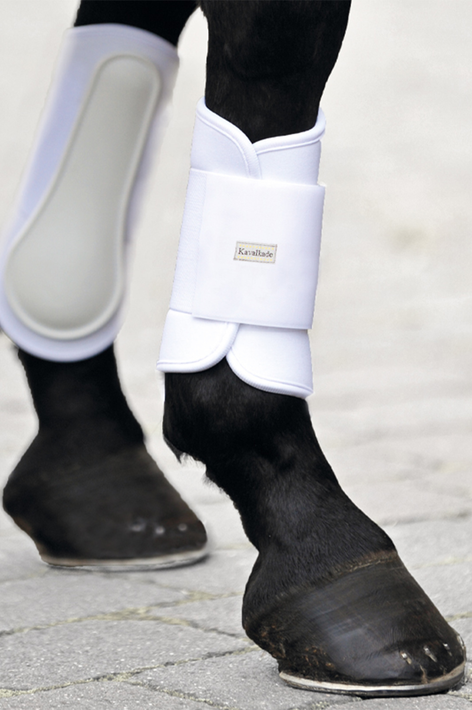 Botas de cepillado Kavalkade KavalPren Softy, parte delantera