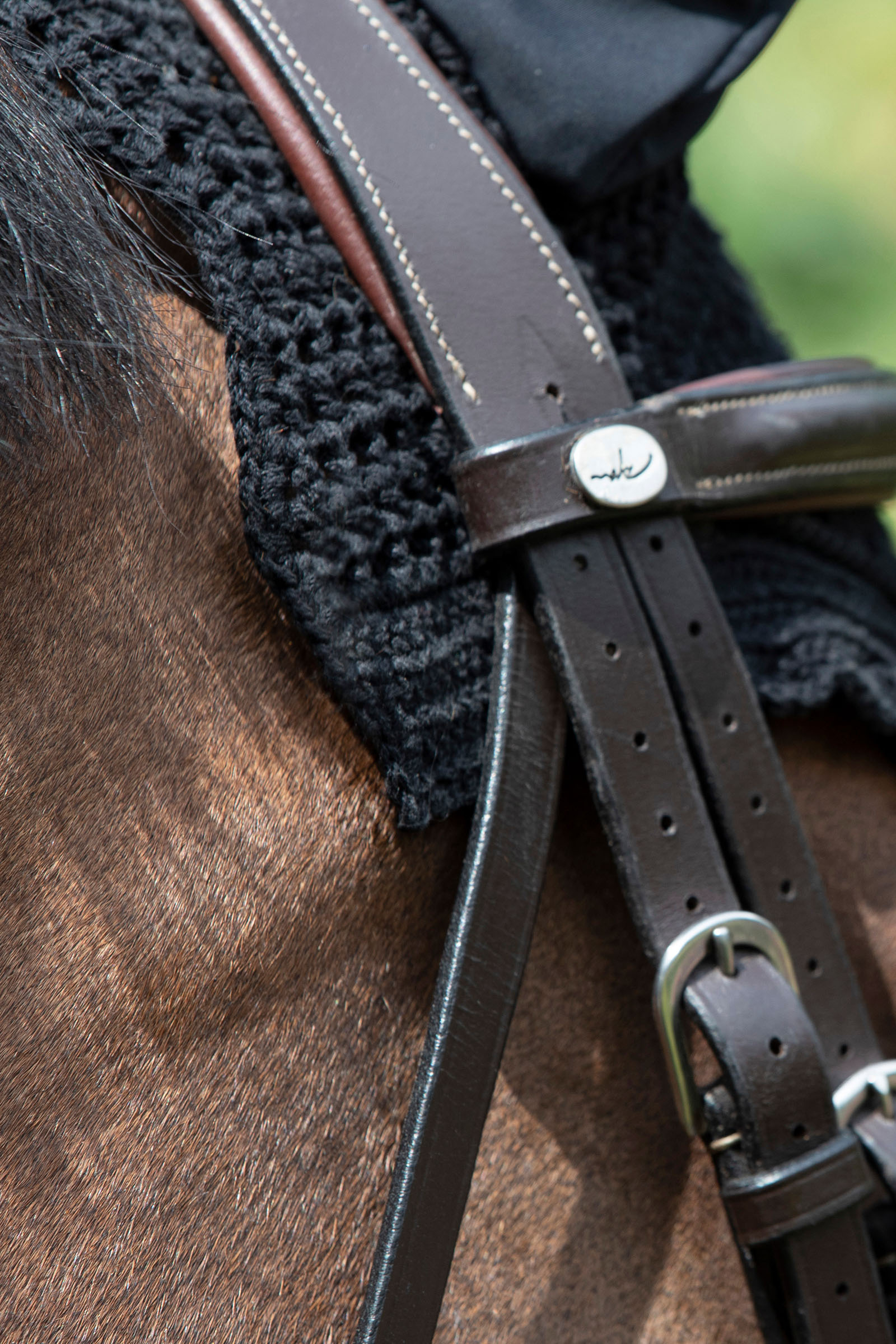 LeMieux Diamante orejeras acústicas para caballos