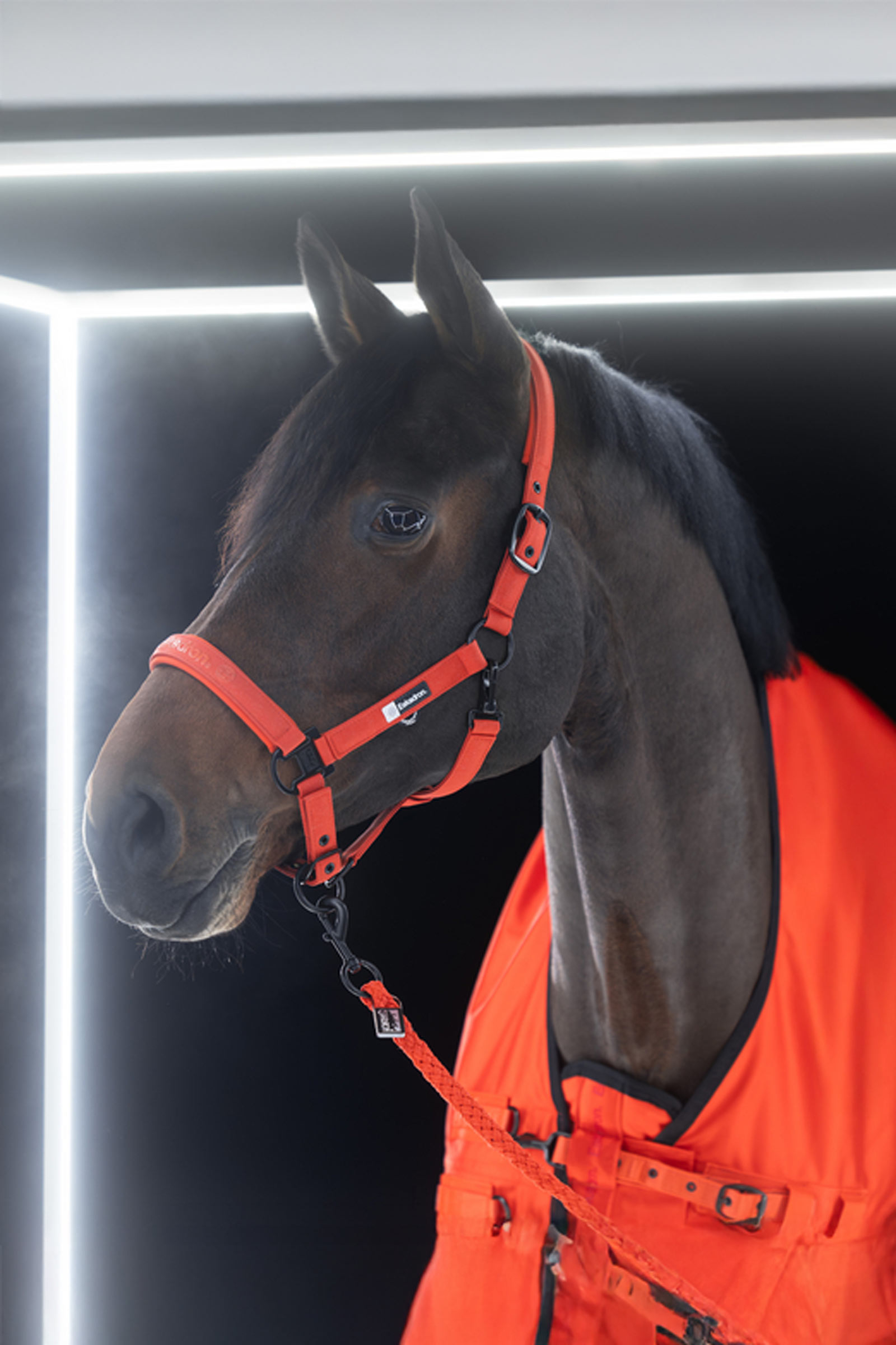 Eskadron Dynamics AW25 Beta manta de exterior, 50 g