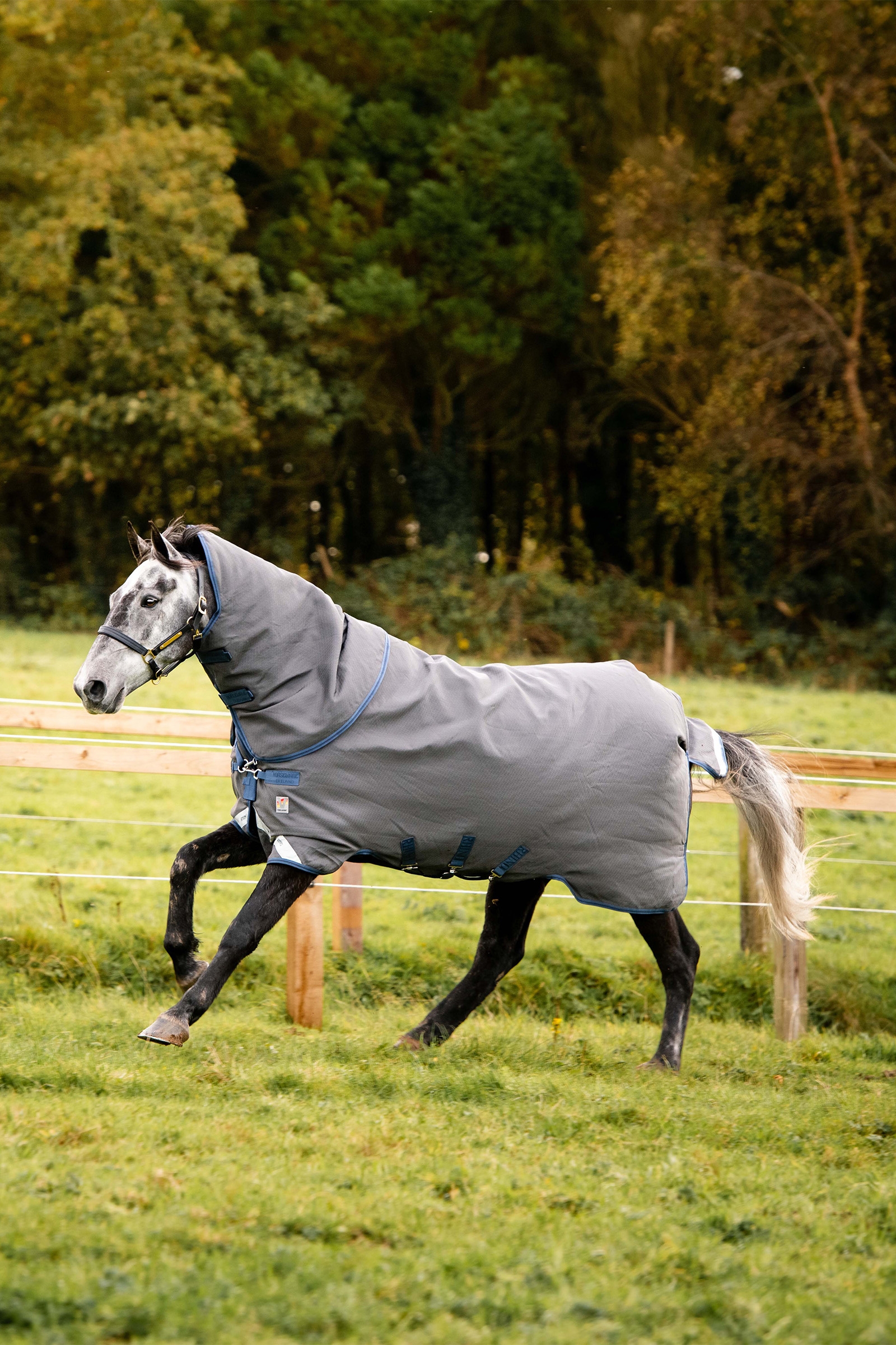 Manta de Pastoreo Horseware Rhino Plus HexSTOP Vari-Layer, 100g