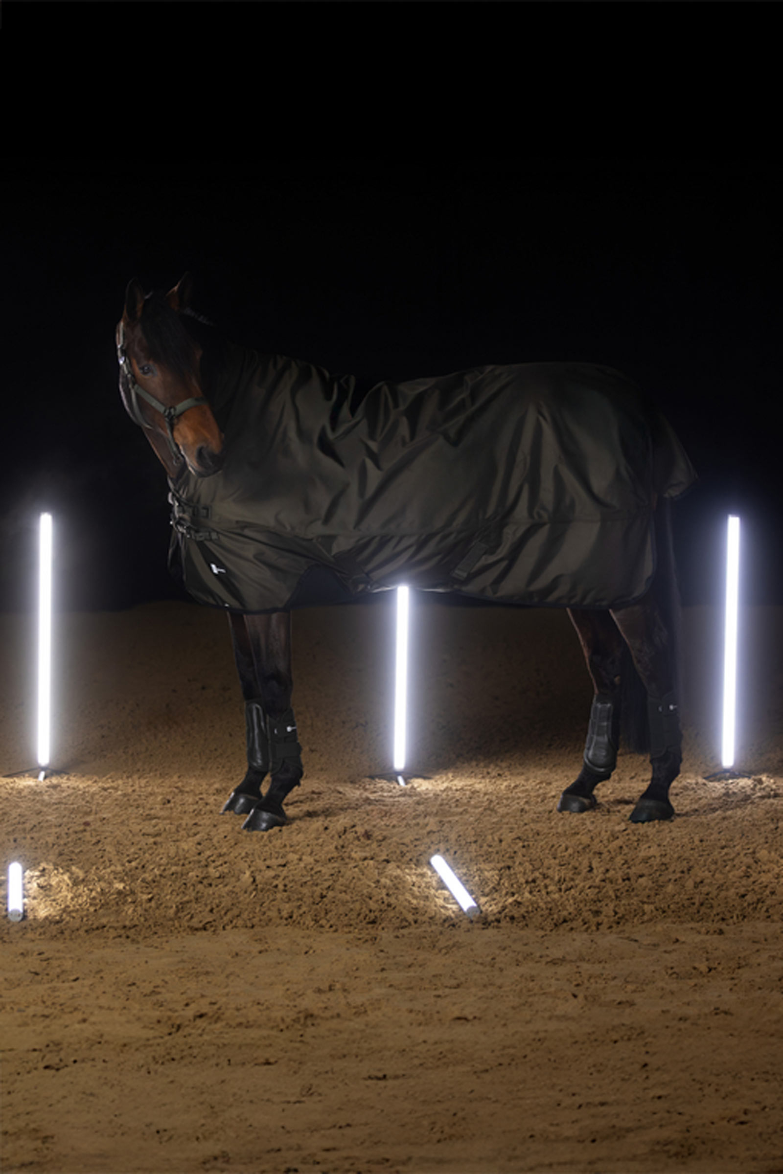 Eskadron Dynamics AW25 Beta manta de exterior, 150 g