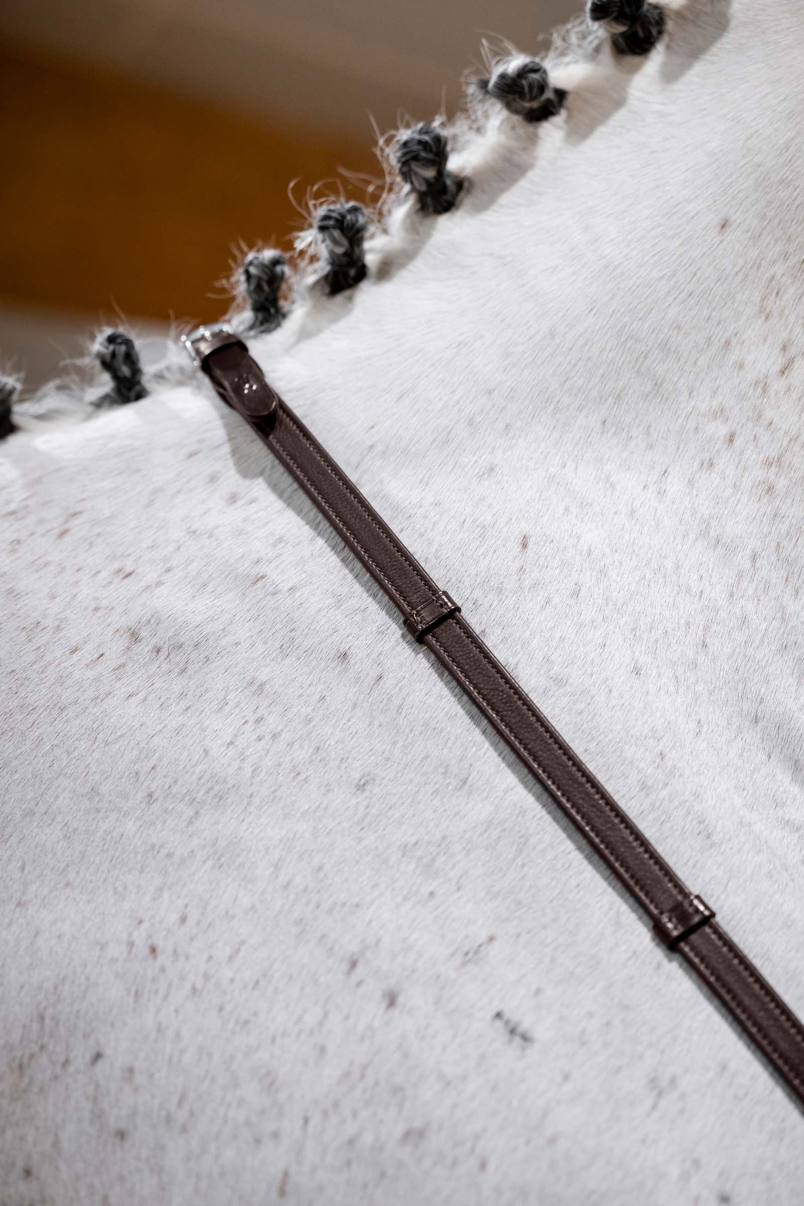 Brown Horseware riendas para salto con topes