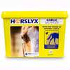 Horslyx Garlic 5kg
